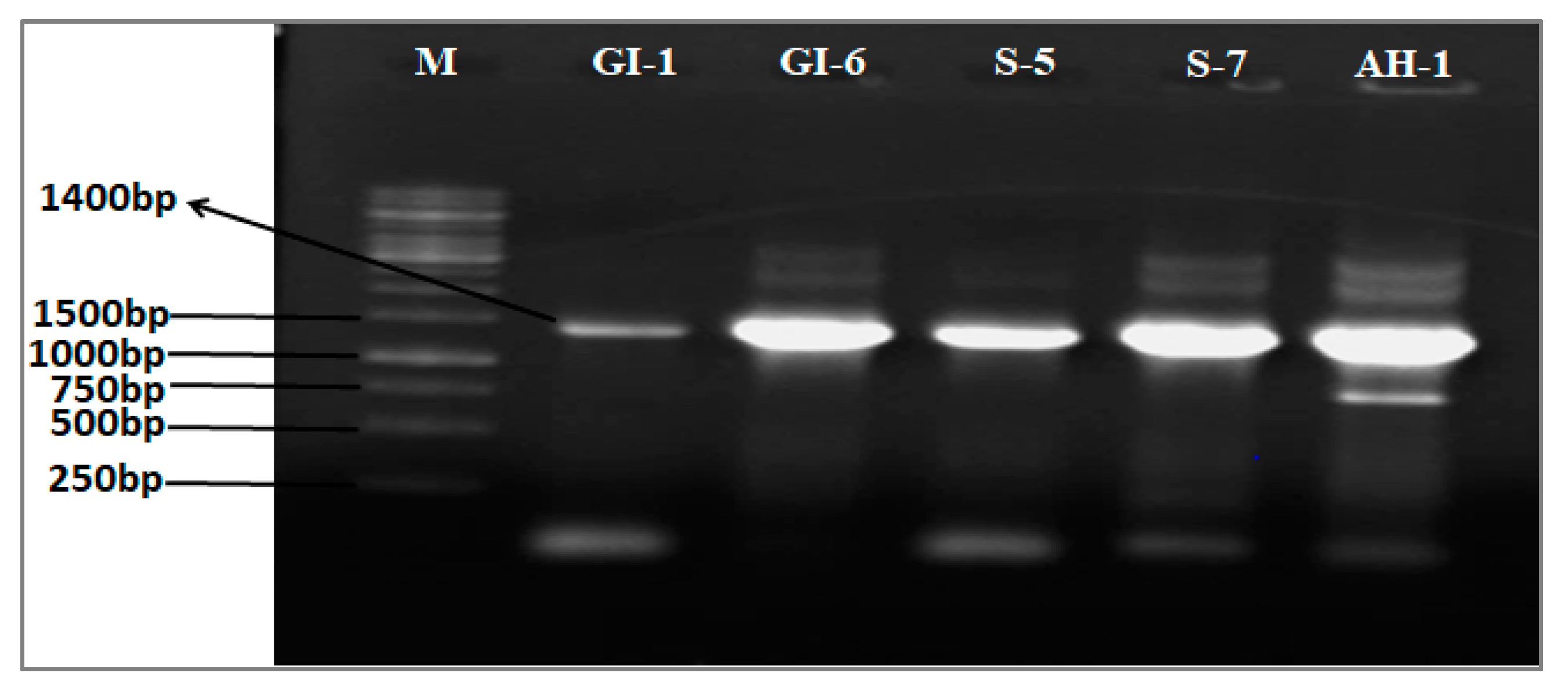 Microorganisms 10 00021 g002