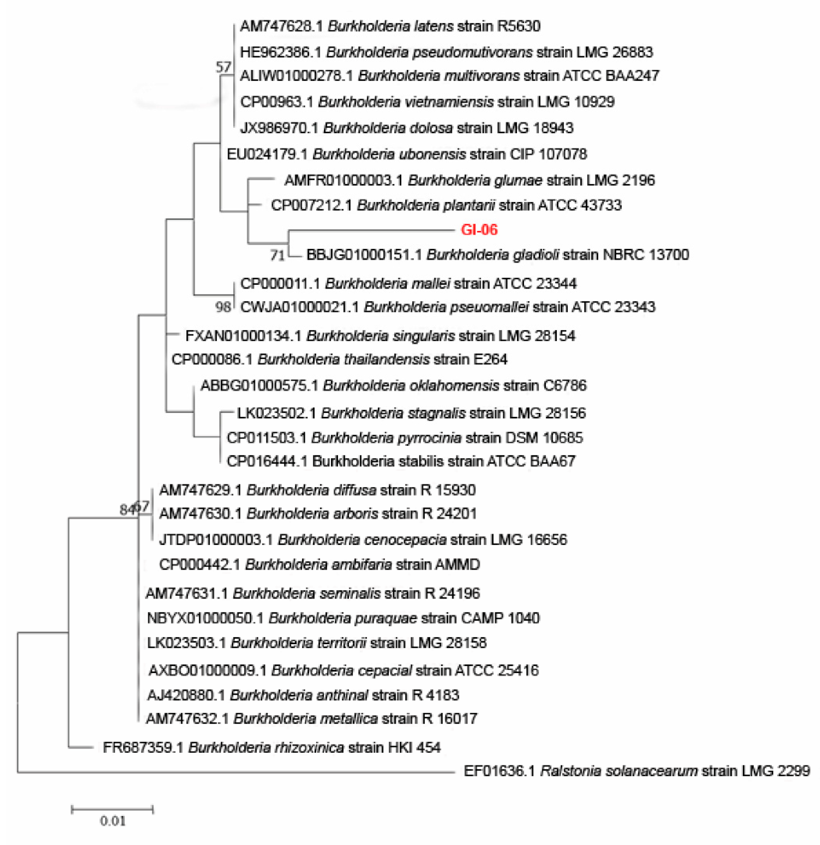 Microorganisms 10 00021 g004