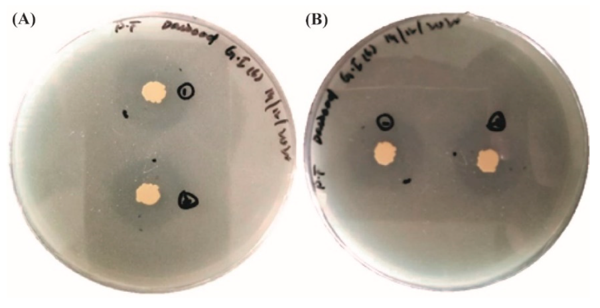 Microorganisms 10 00021 g008