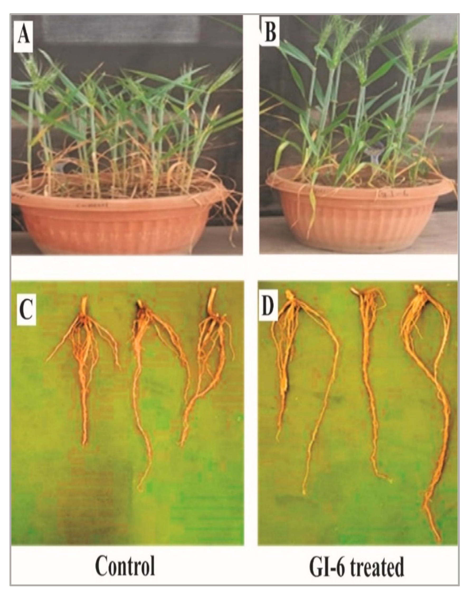 Microorganisms 10 00021 g012