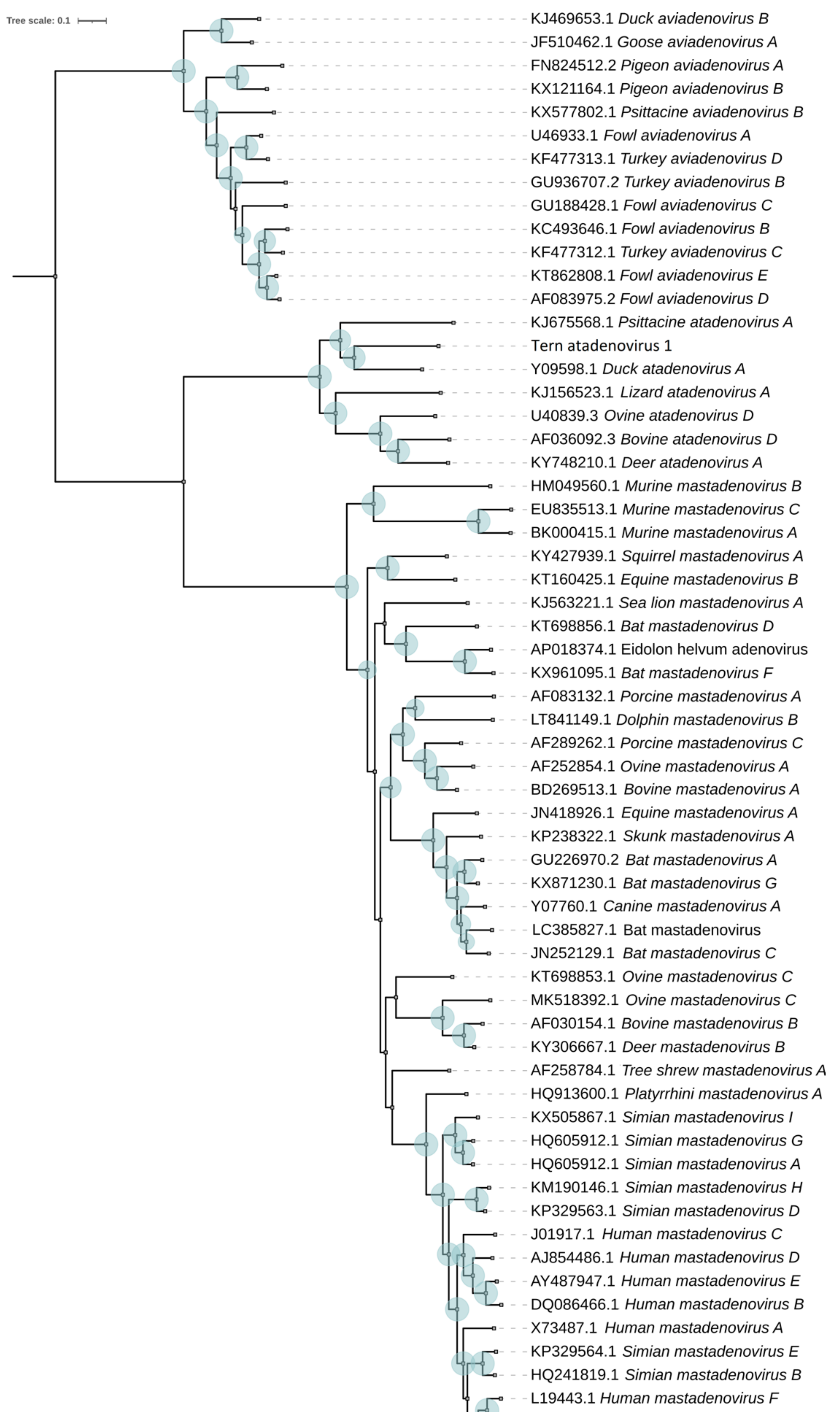 Microorganisms 10 00031 g003