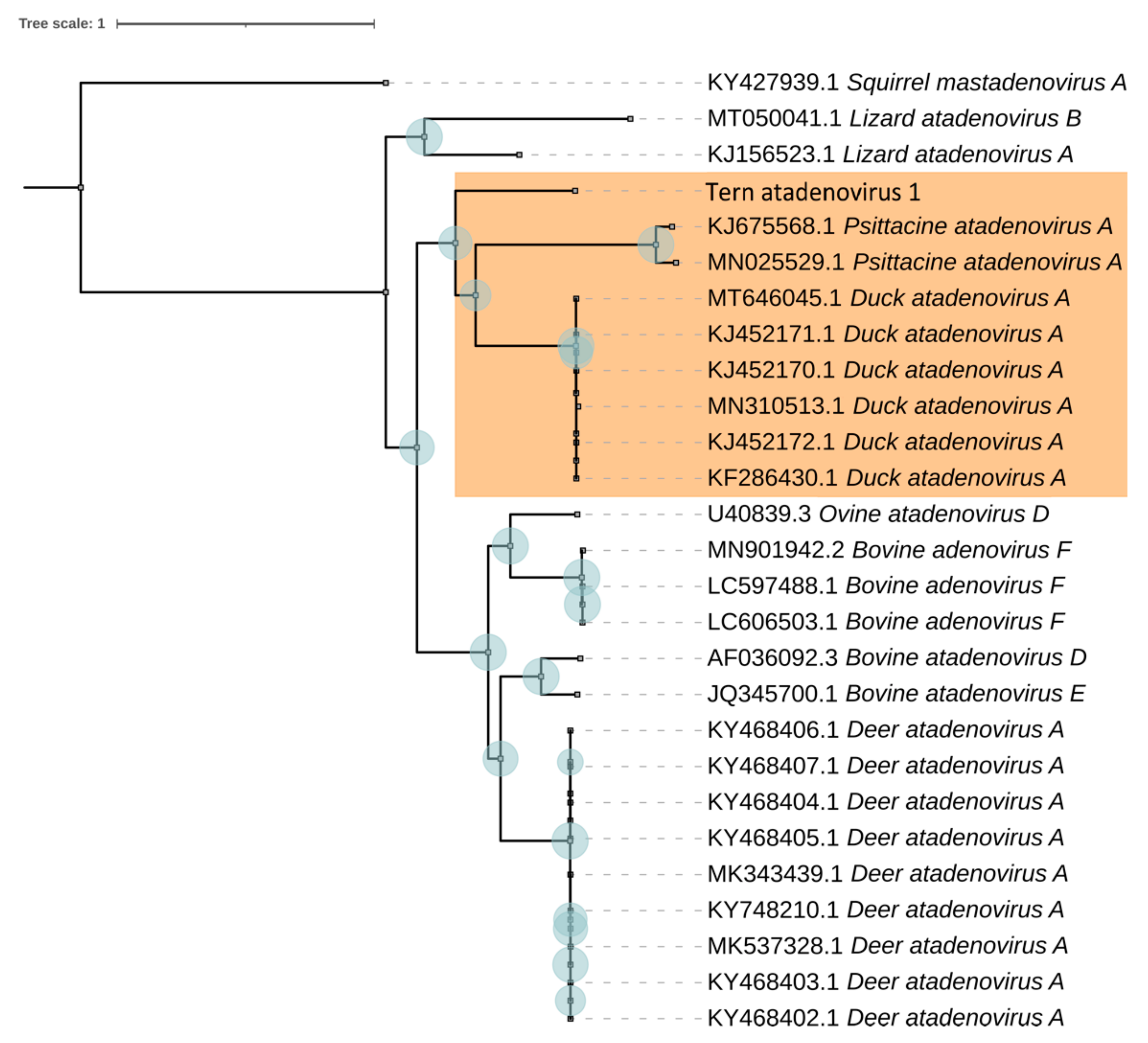 Microorganisms 10 00031 g004