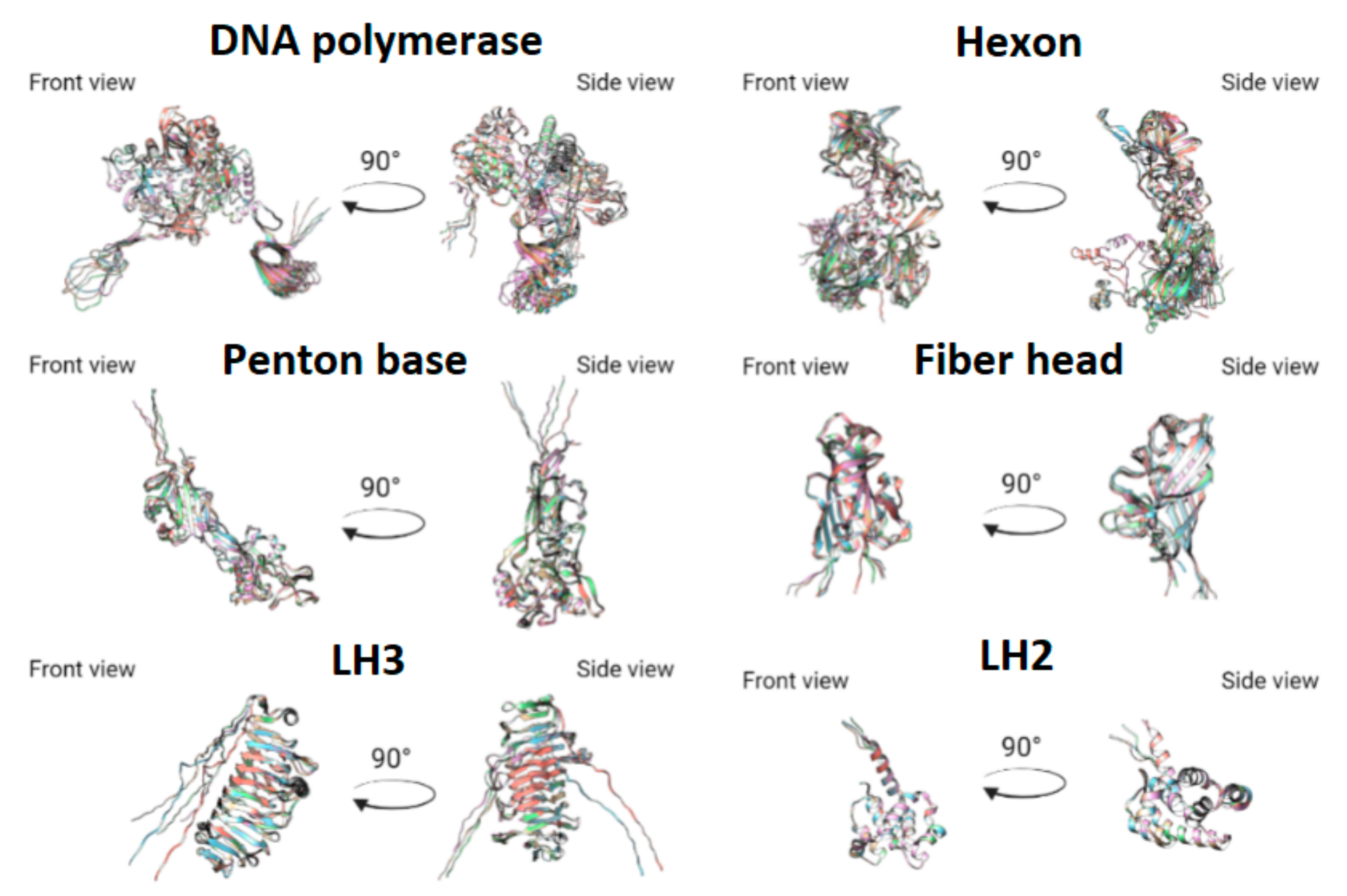 Microorganisms 10 00031 g005