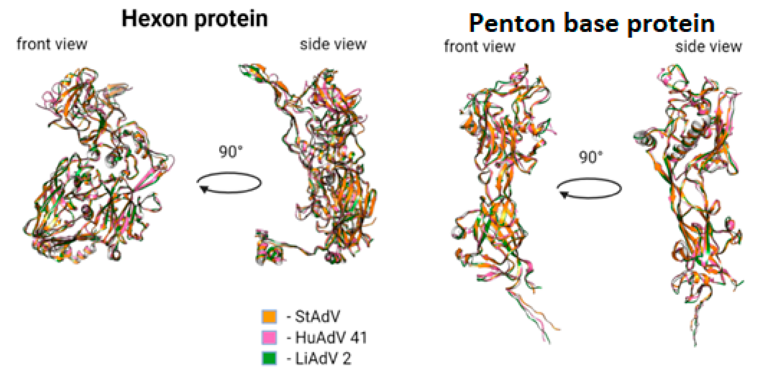 Microorganisms 10 00031 g006
