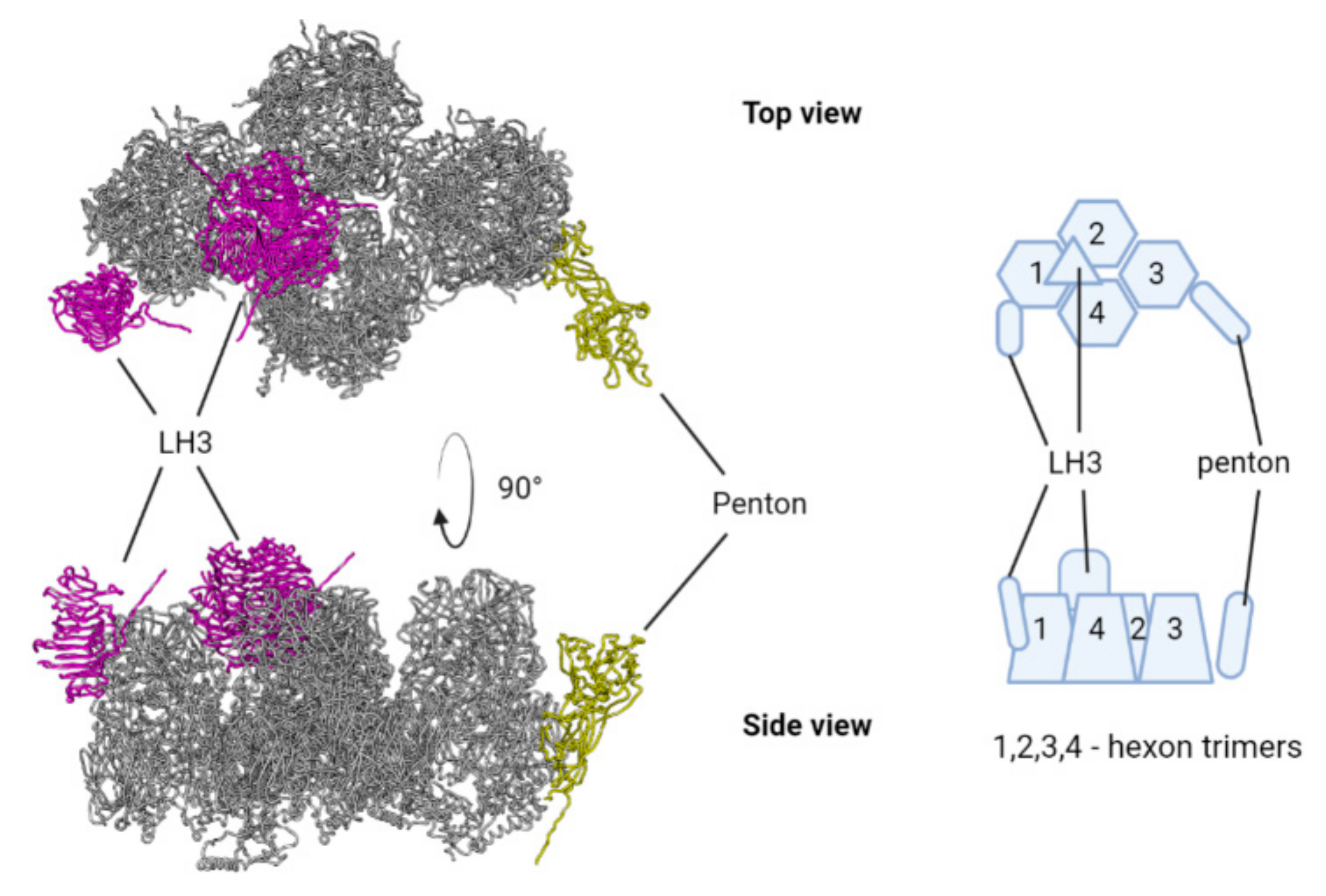 Microorganisms 10 00031 g007