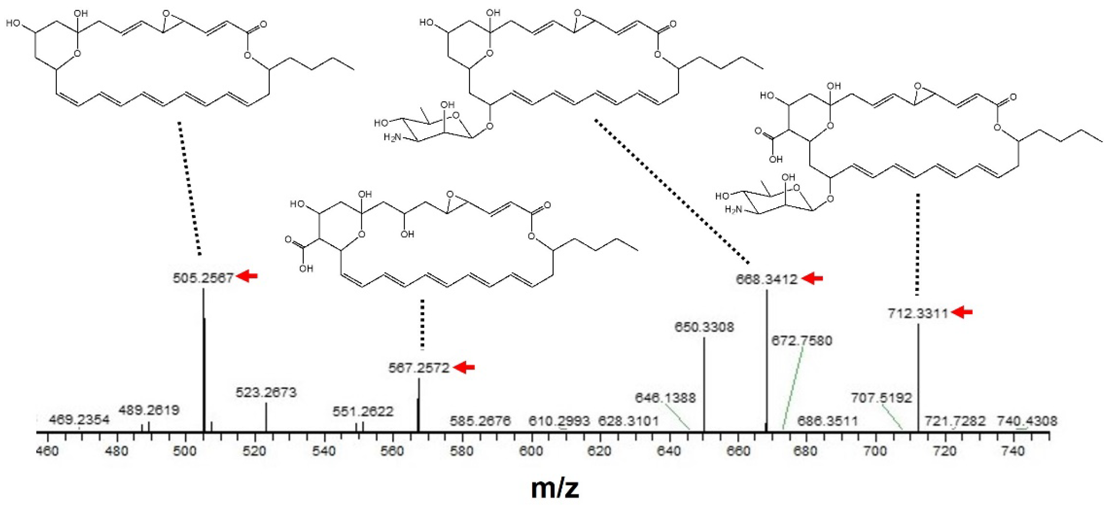Microorganisms 10 00037 g004 Microorganisms 10 00037 g004