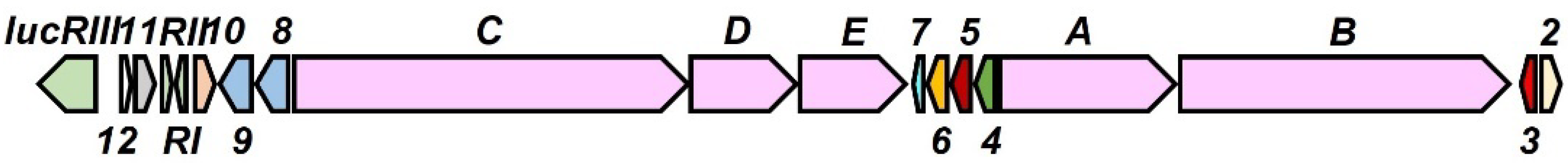 Microorganisms 10 00037 g005 Microorganisms 10 00037 g005