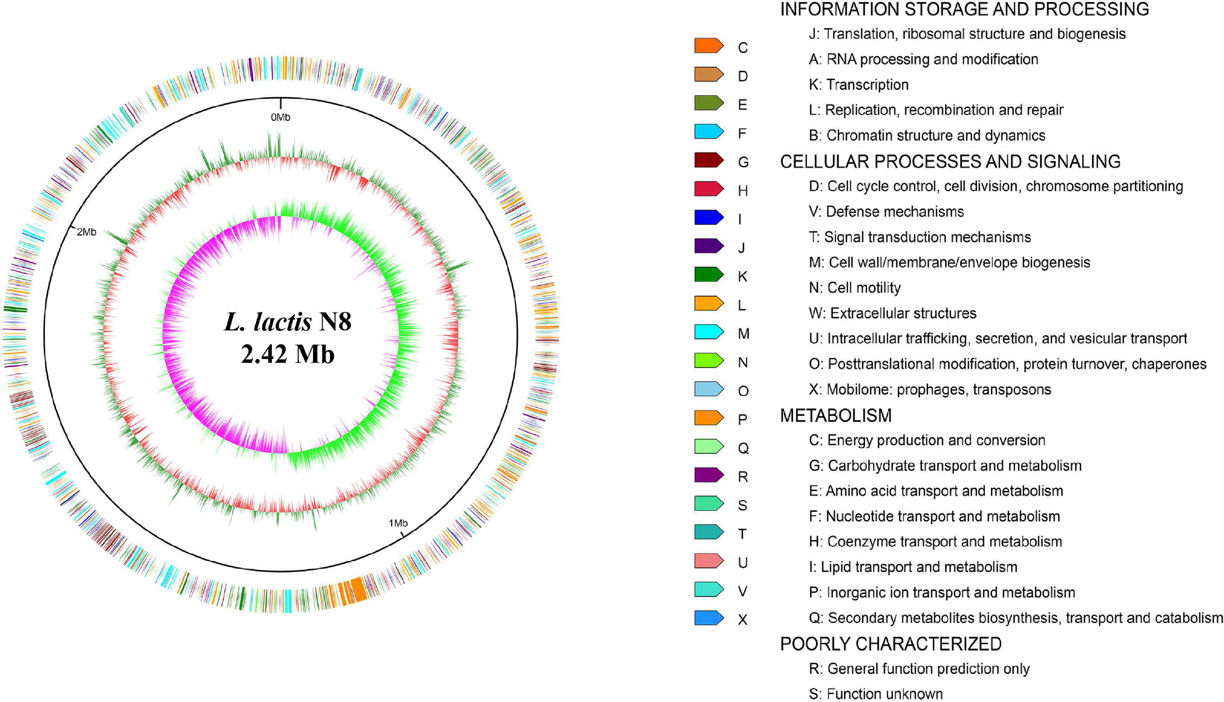 Microorganisms 10 00047 g001