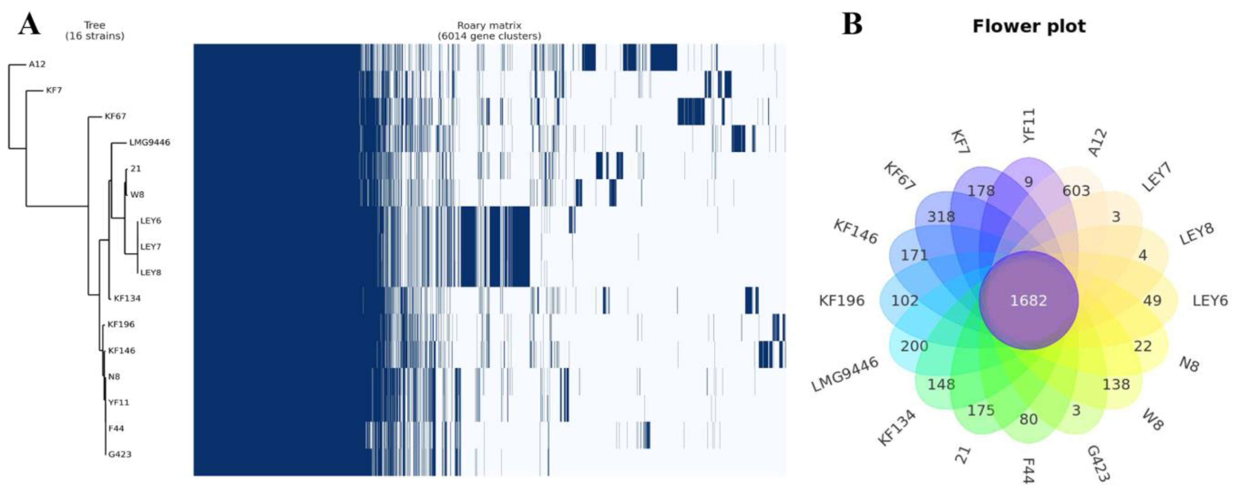 Microorganisms 10 00047 g003