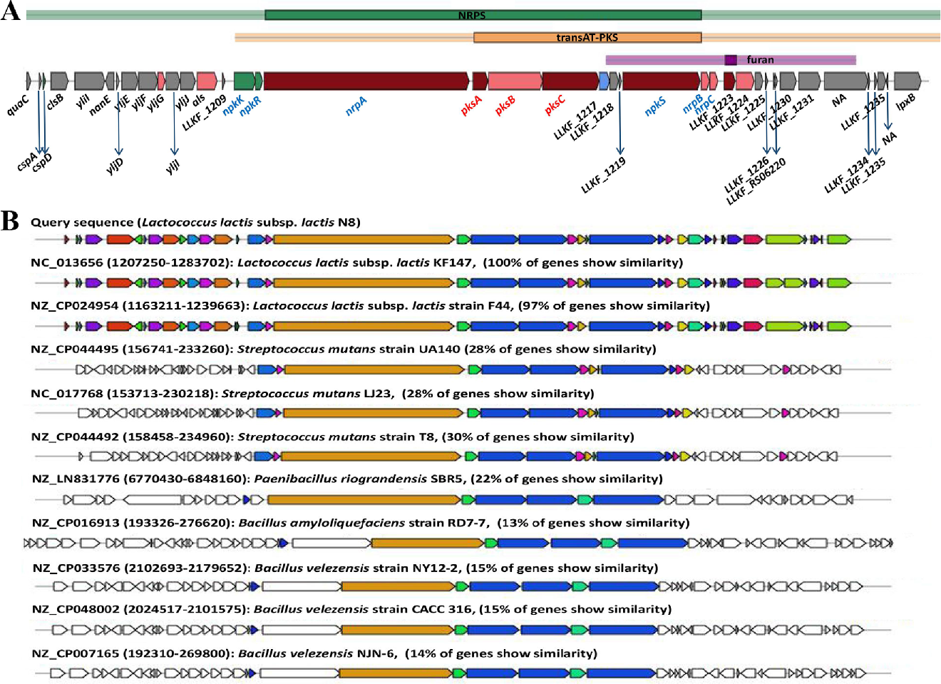 Microorganisms 10 00047 g007