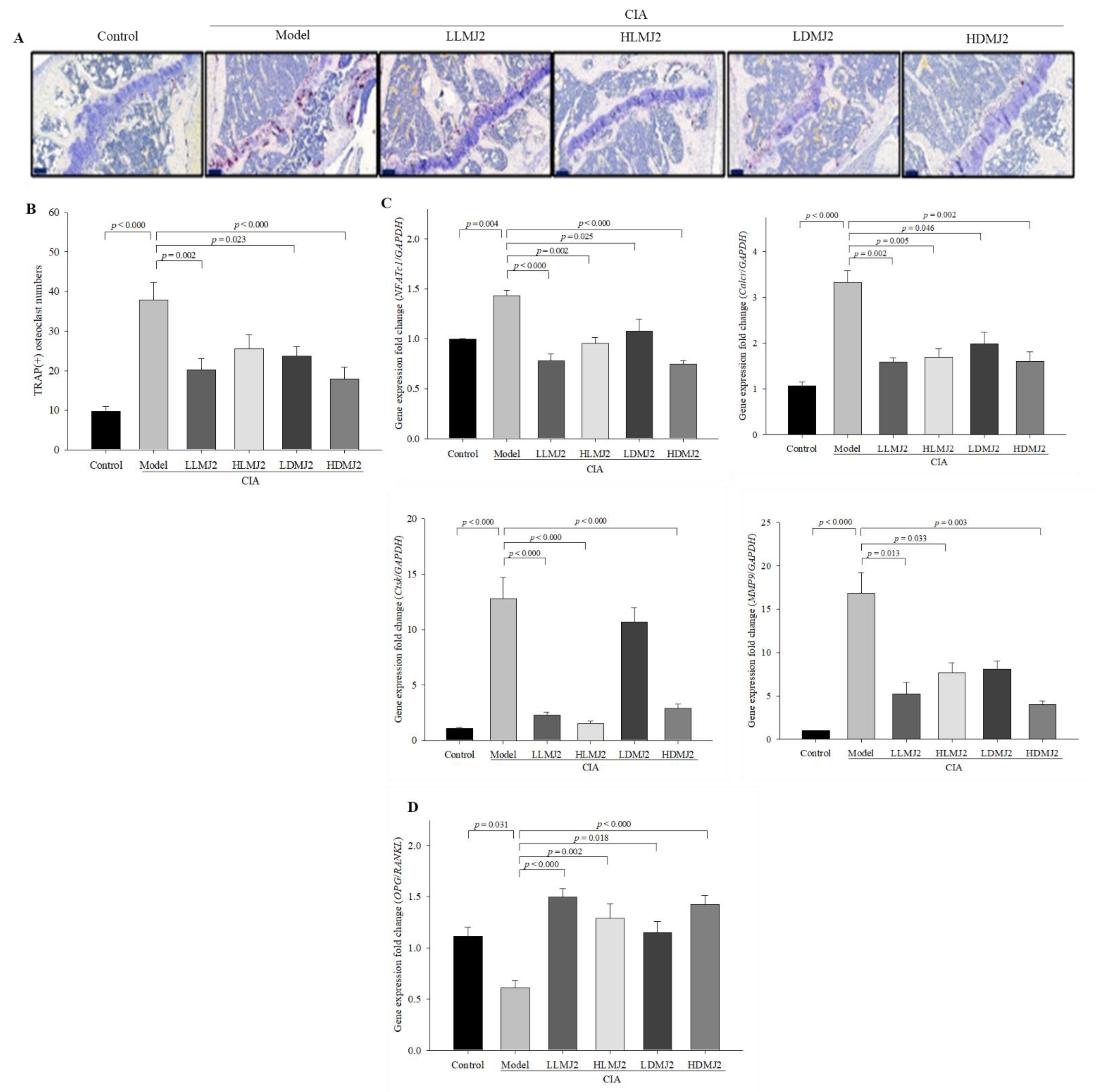Microorganisms 10 00048 g007