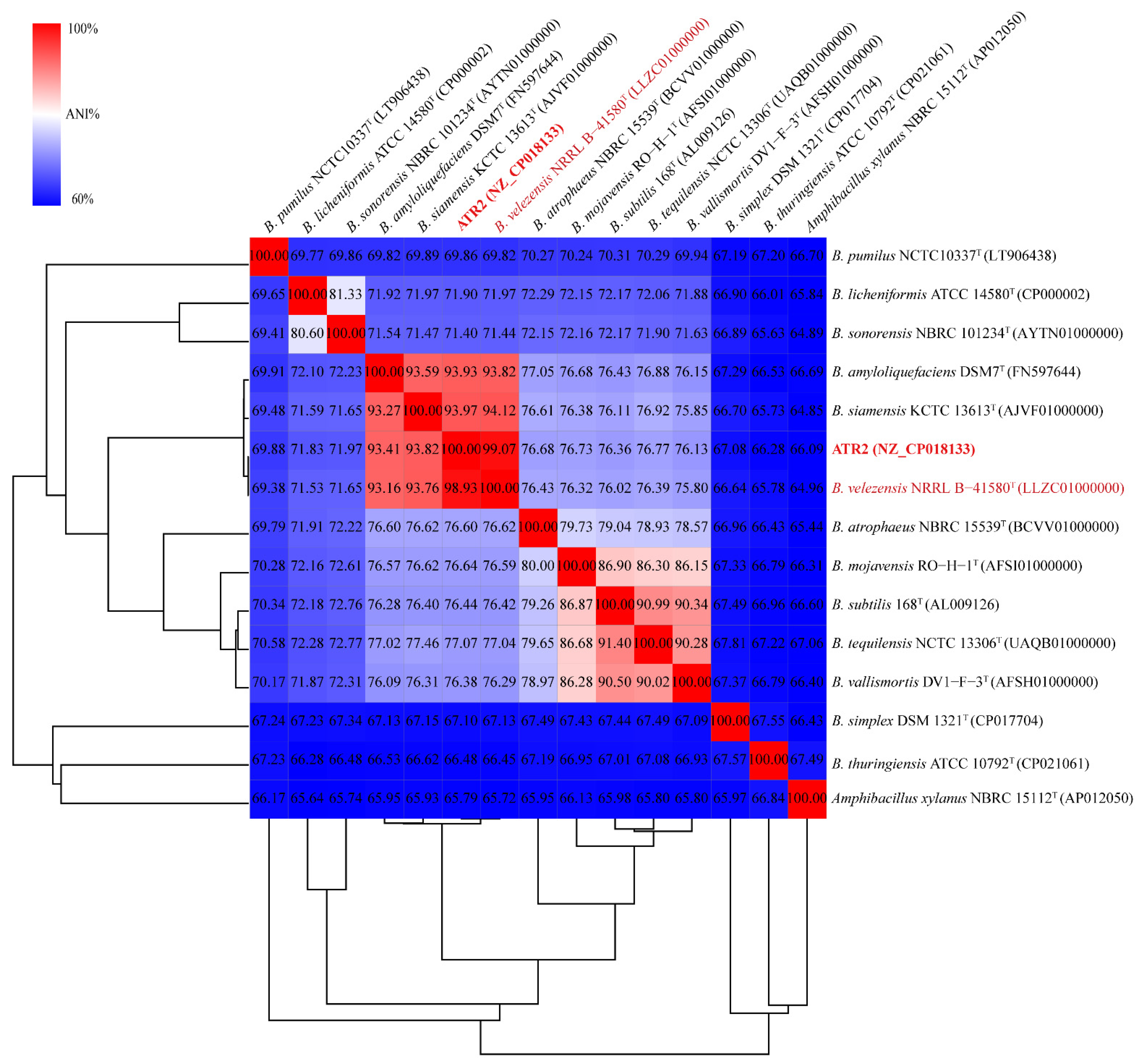 Microorganisms 10 00063 g001