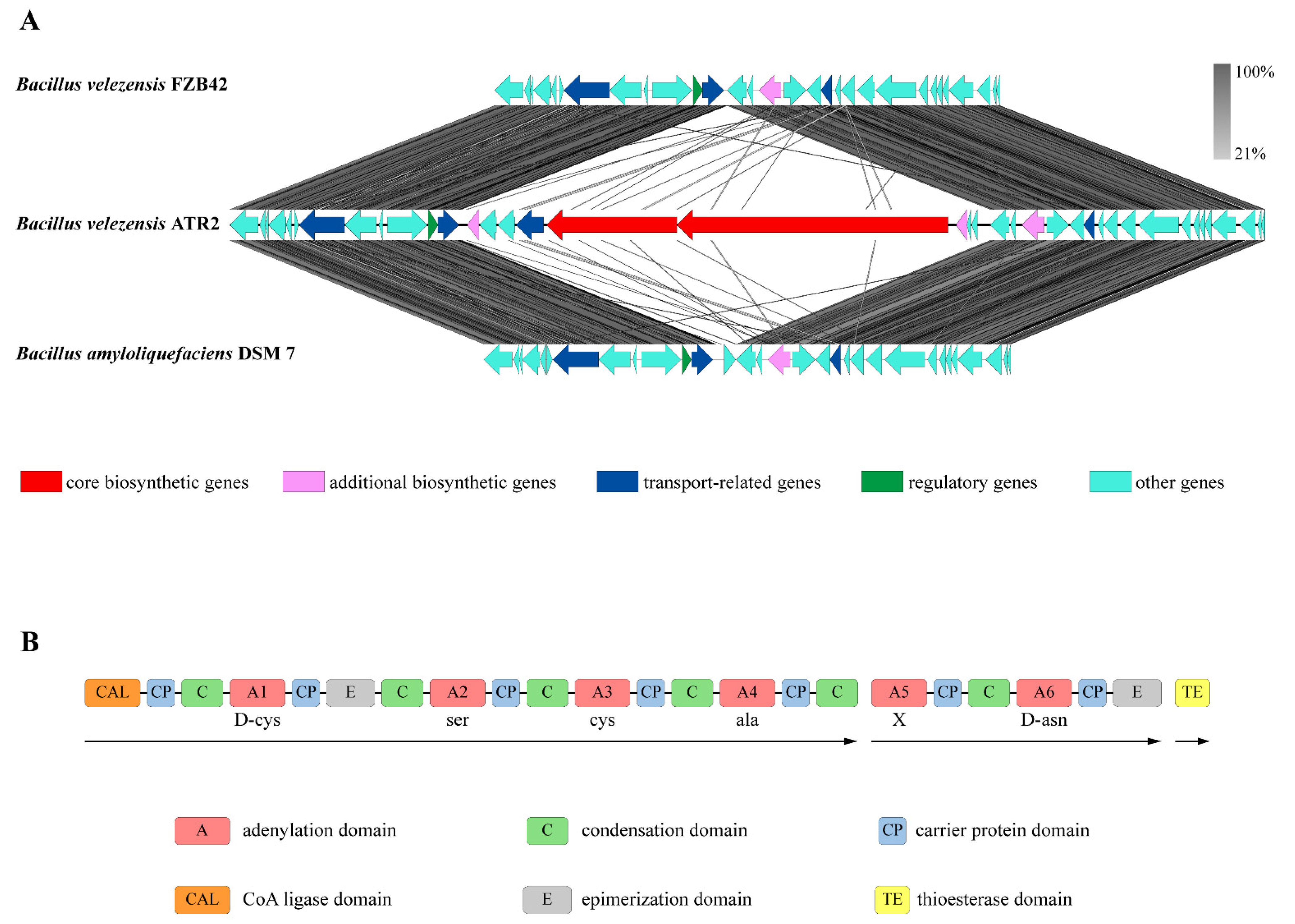 Microorganisms 10 00063 g002
