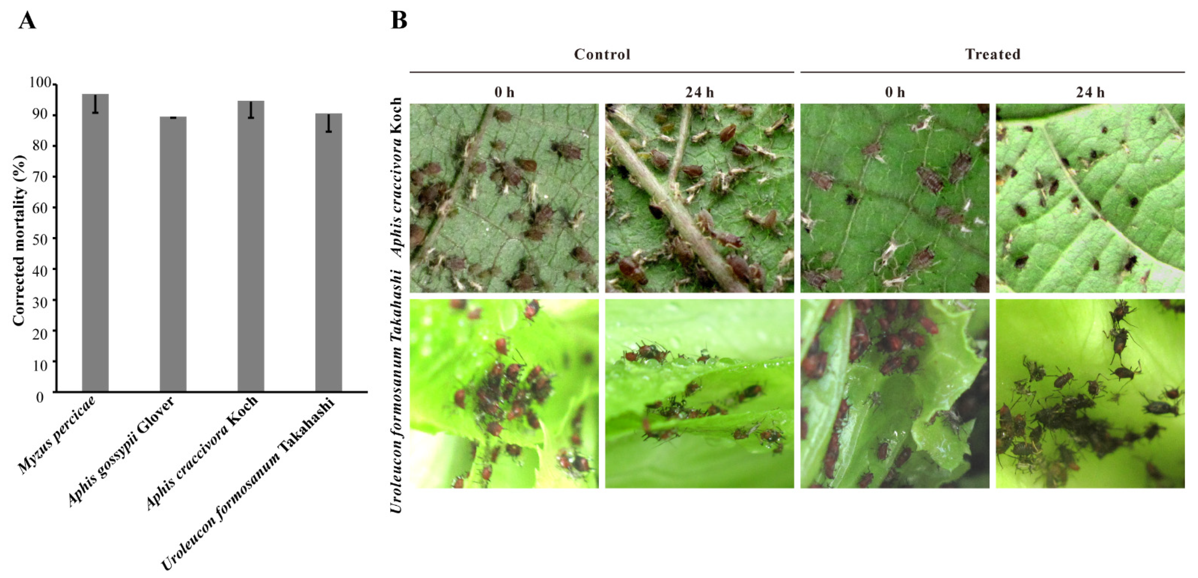 Microorganisms 10 00063 g004