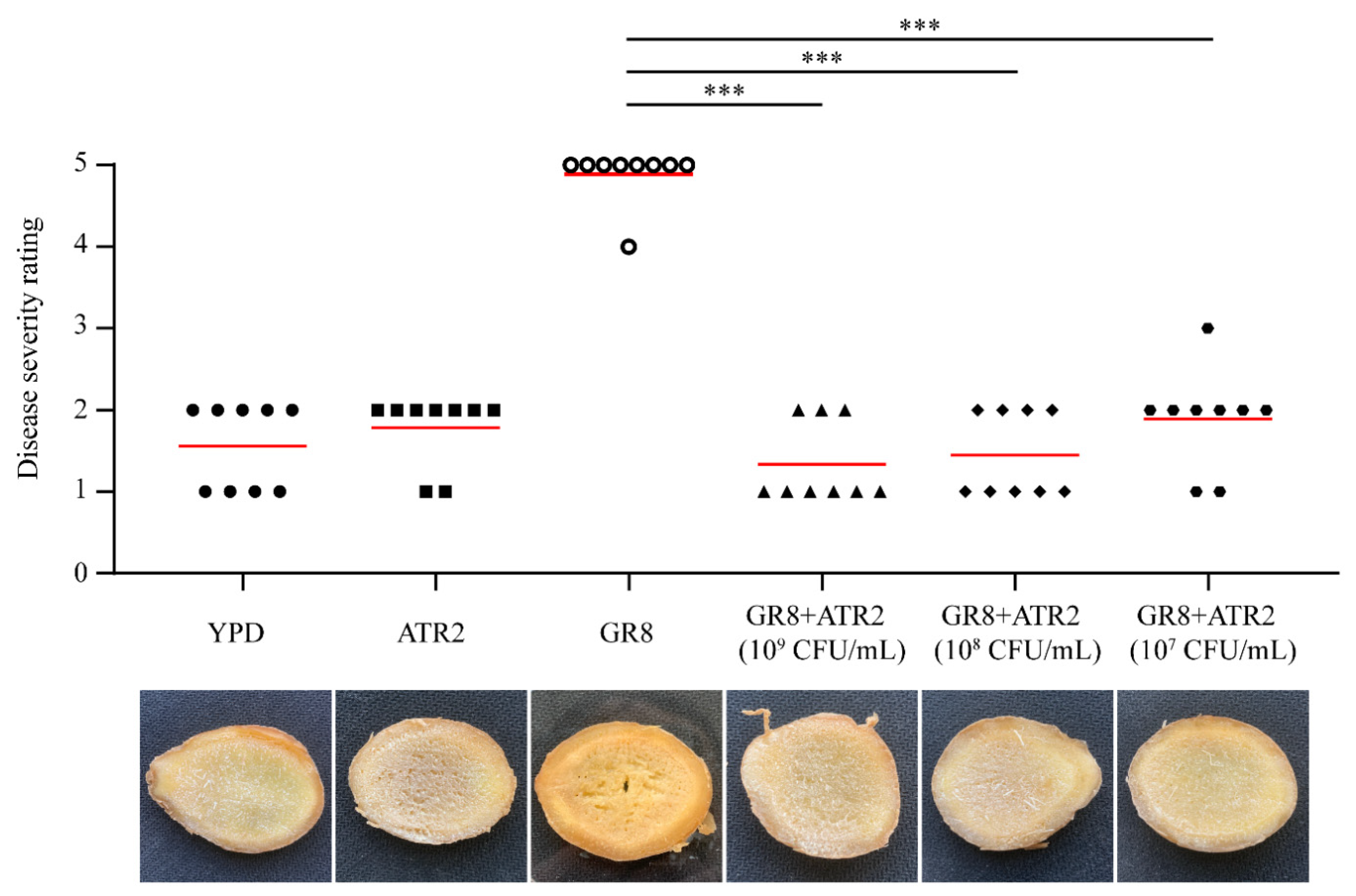 Microorganisms 10 00063 g006