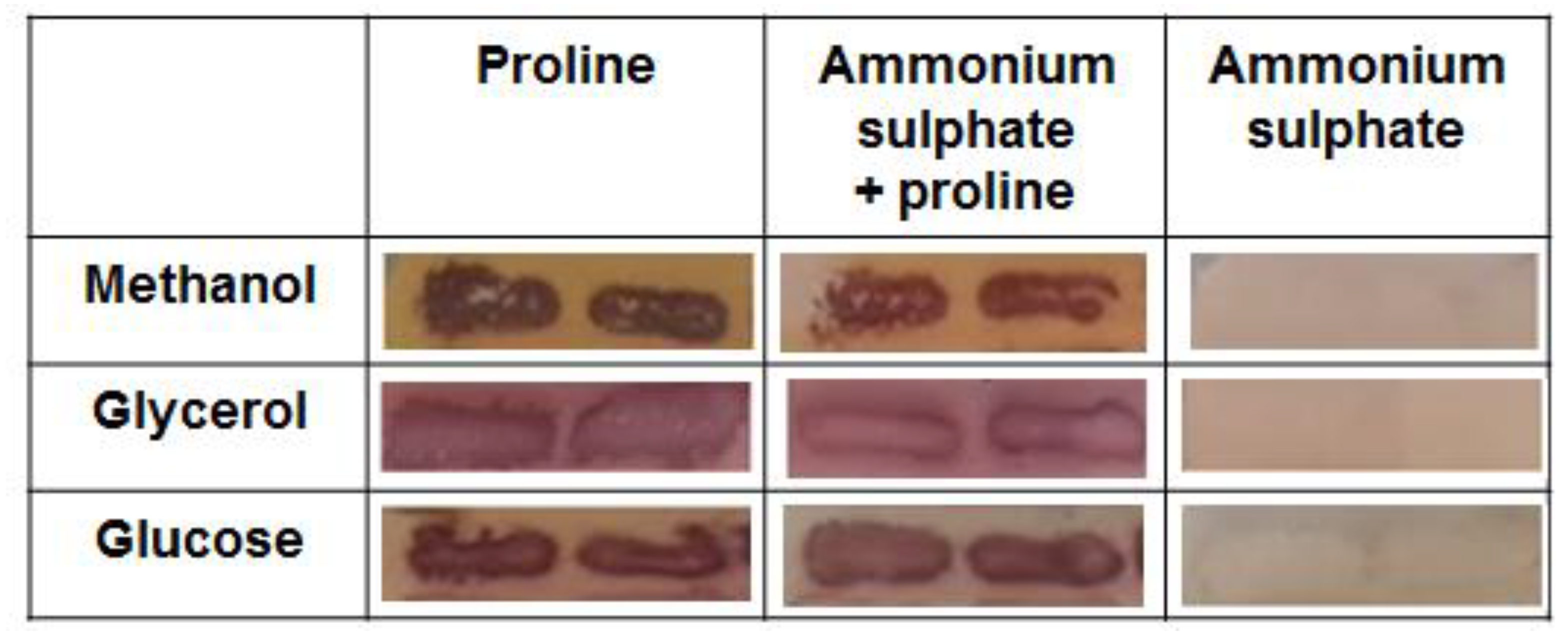 Microorganisms 10 00067 g001