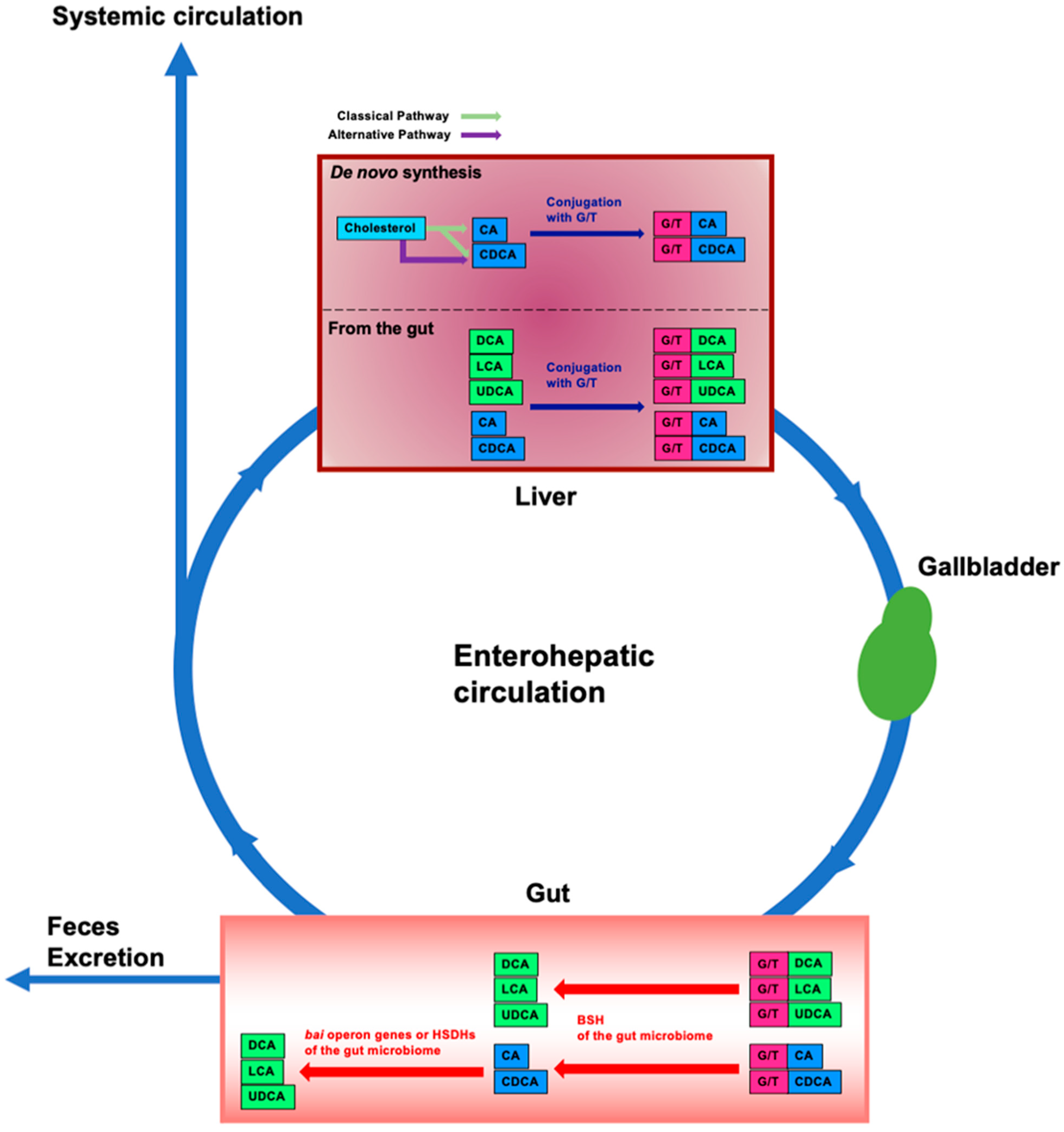 Microorganisms 10 00068 g001 Microorganisms 10 00068 g001