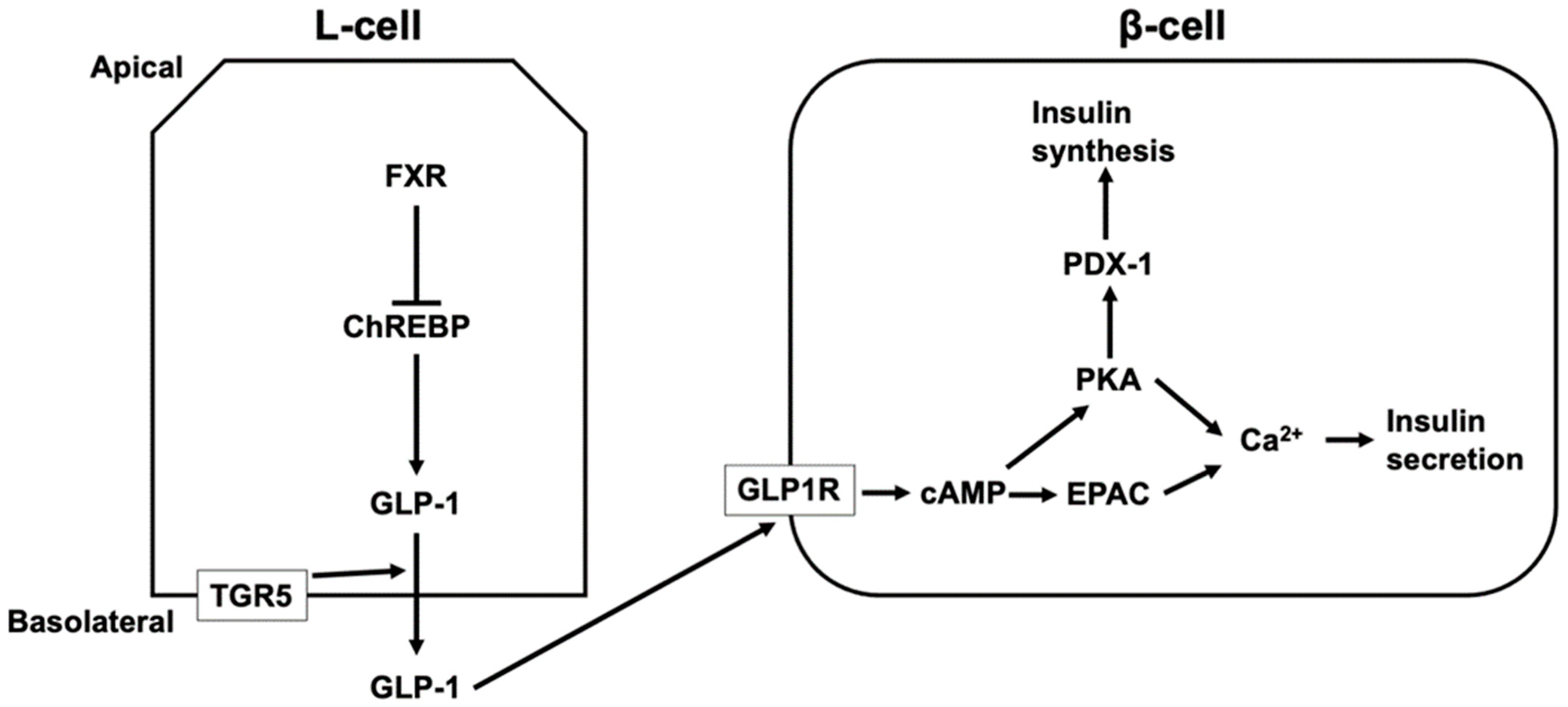Microorganisms 10 00068 g003 Microorganisms 10 00068 g003