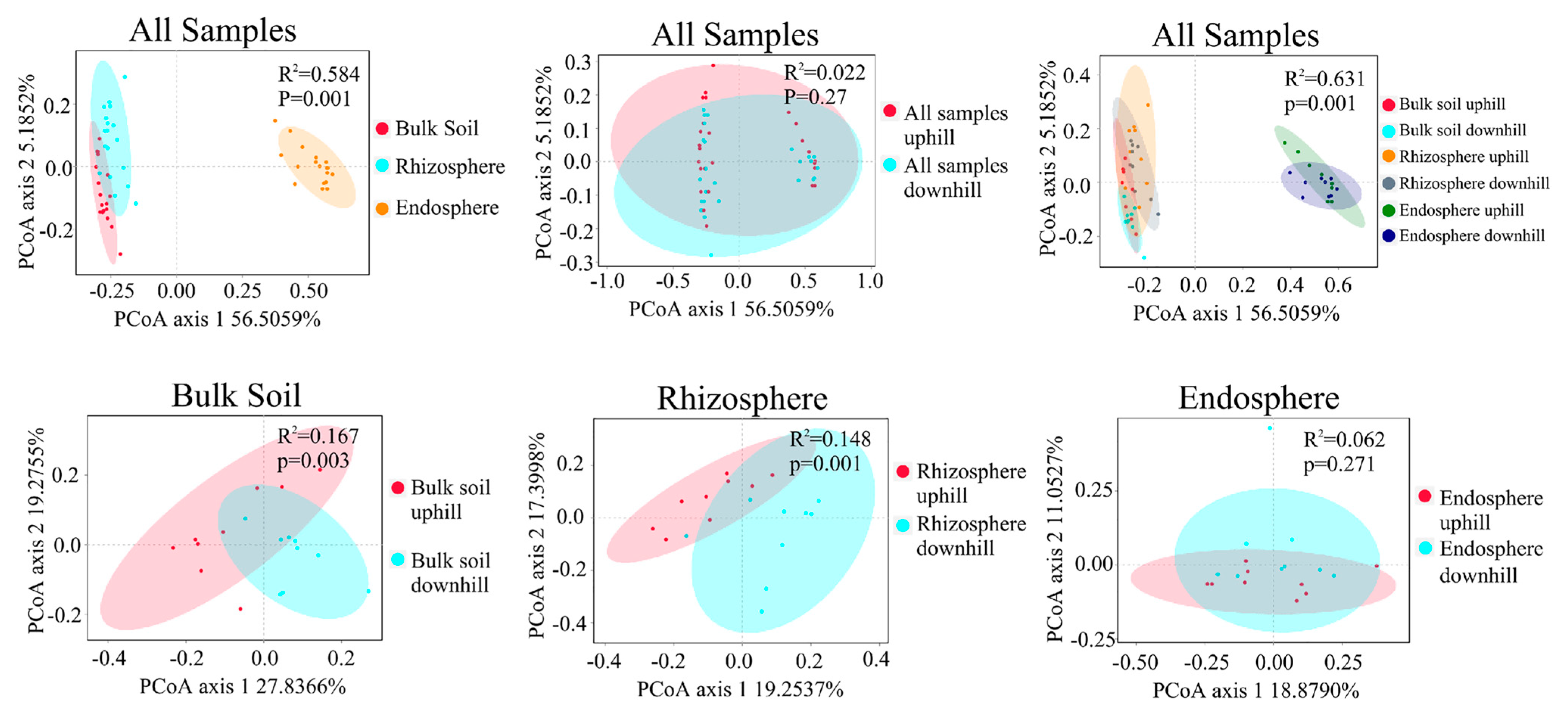 Microorganisms 10 00072 g001