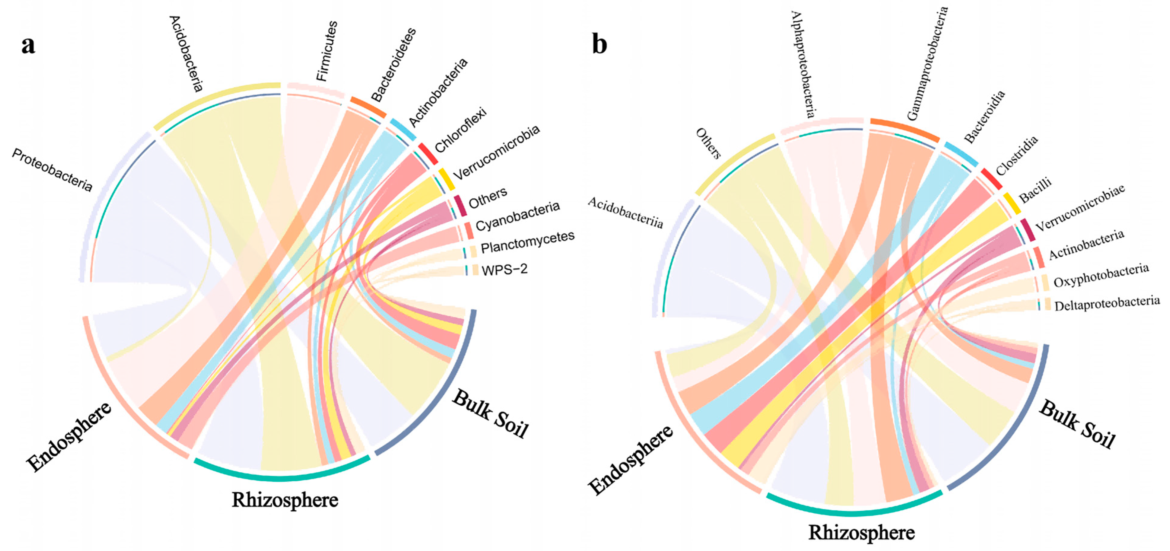 Microorganisms 10 00072 g003