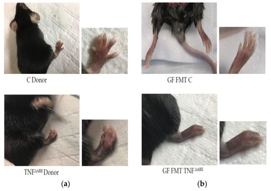 Microorganisms 10 00073 g001