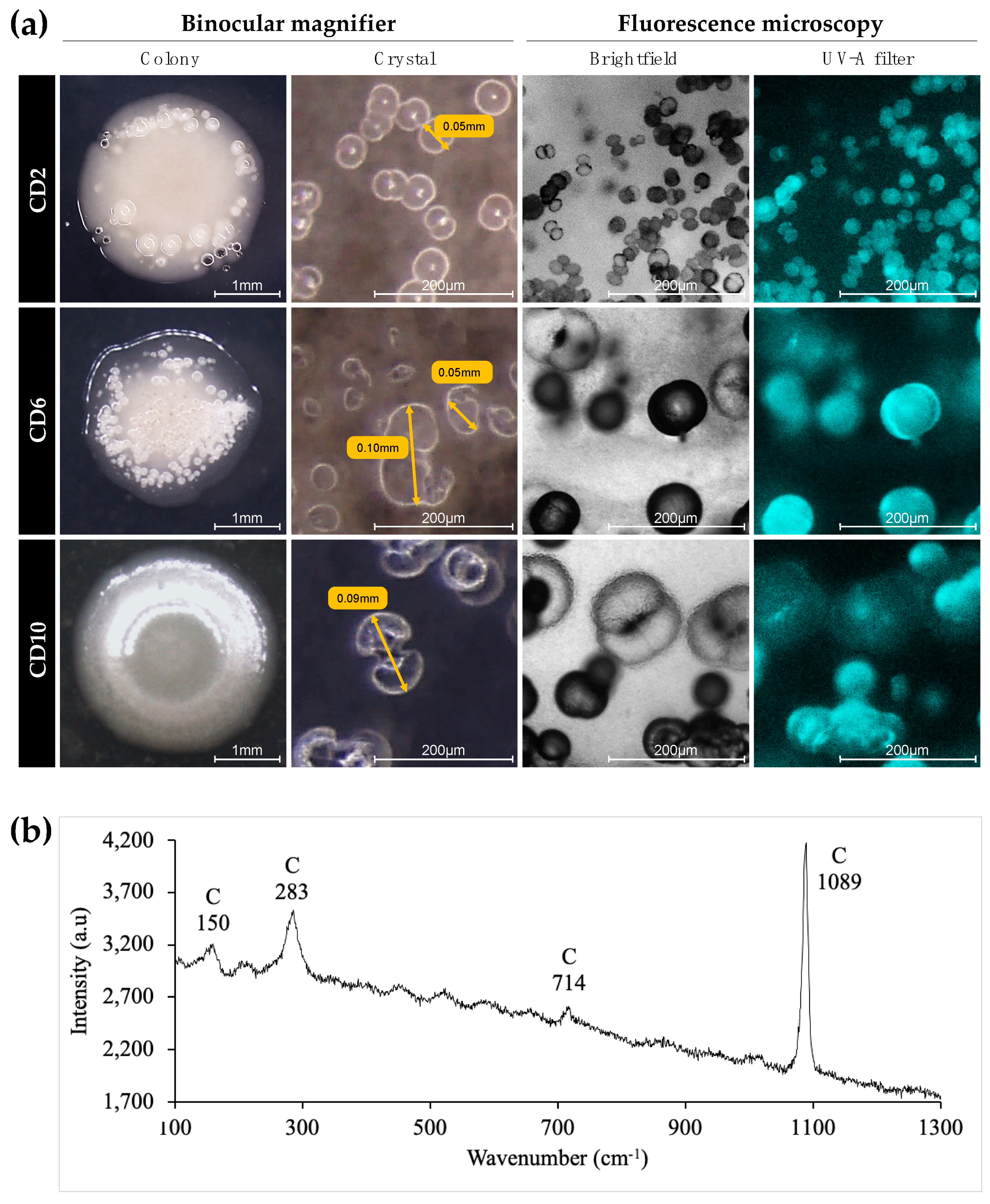 Microorganisms 10 00076 g003