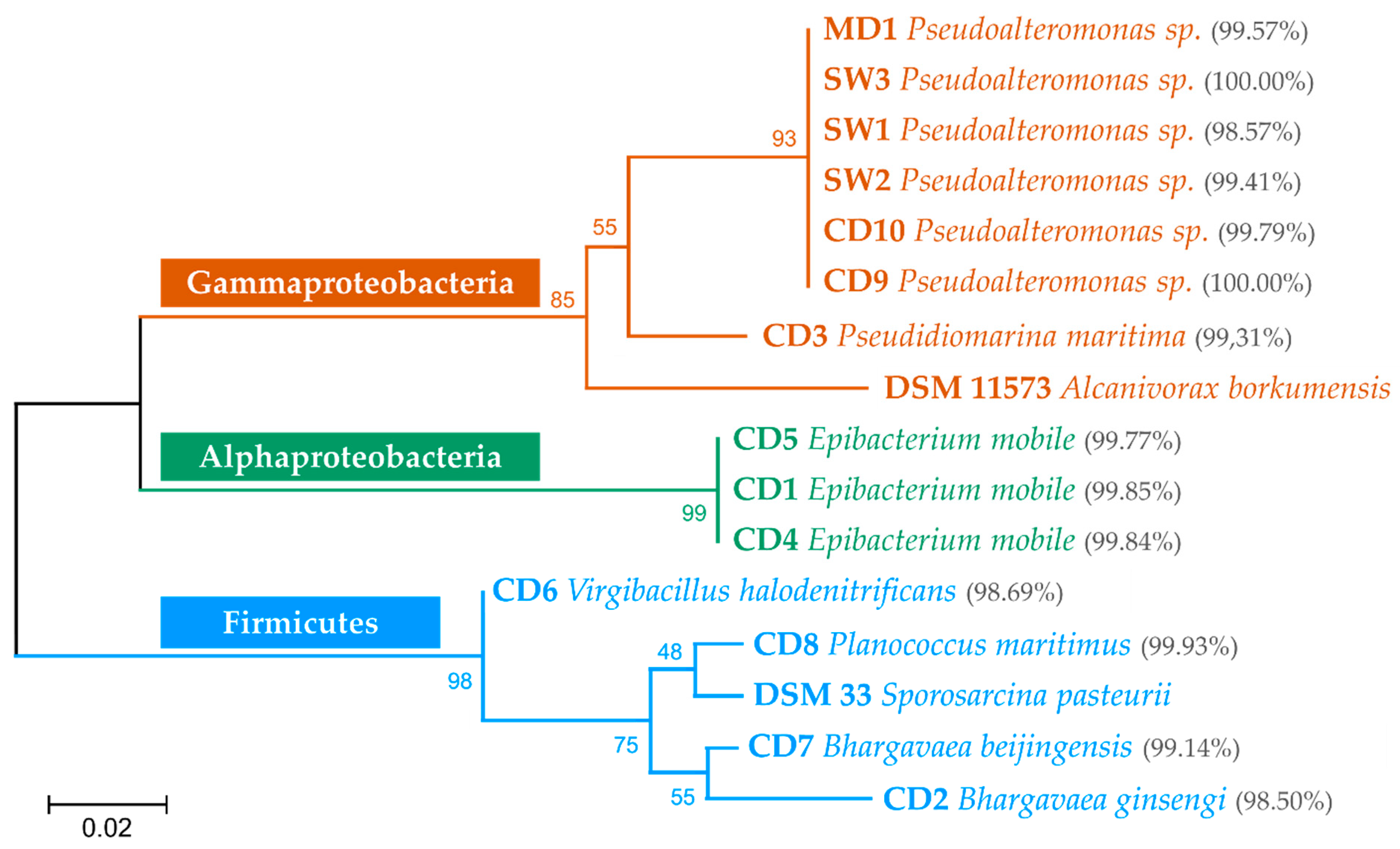 Microorganisms 10 00076 g004