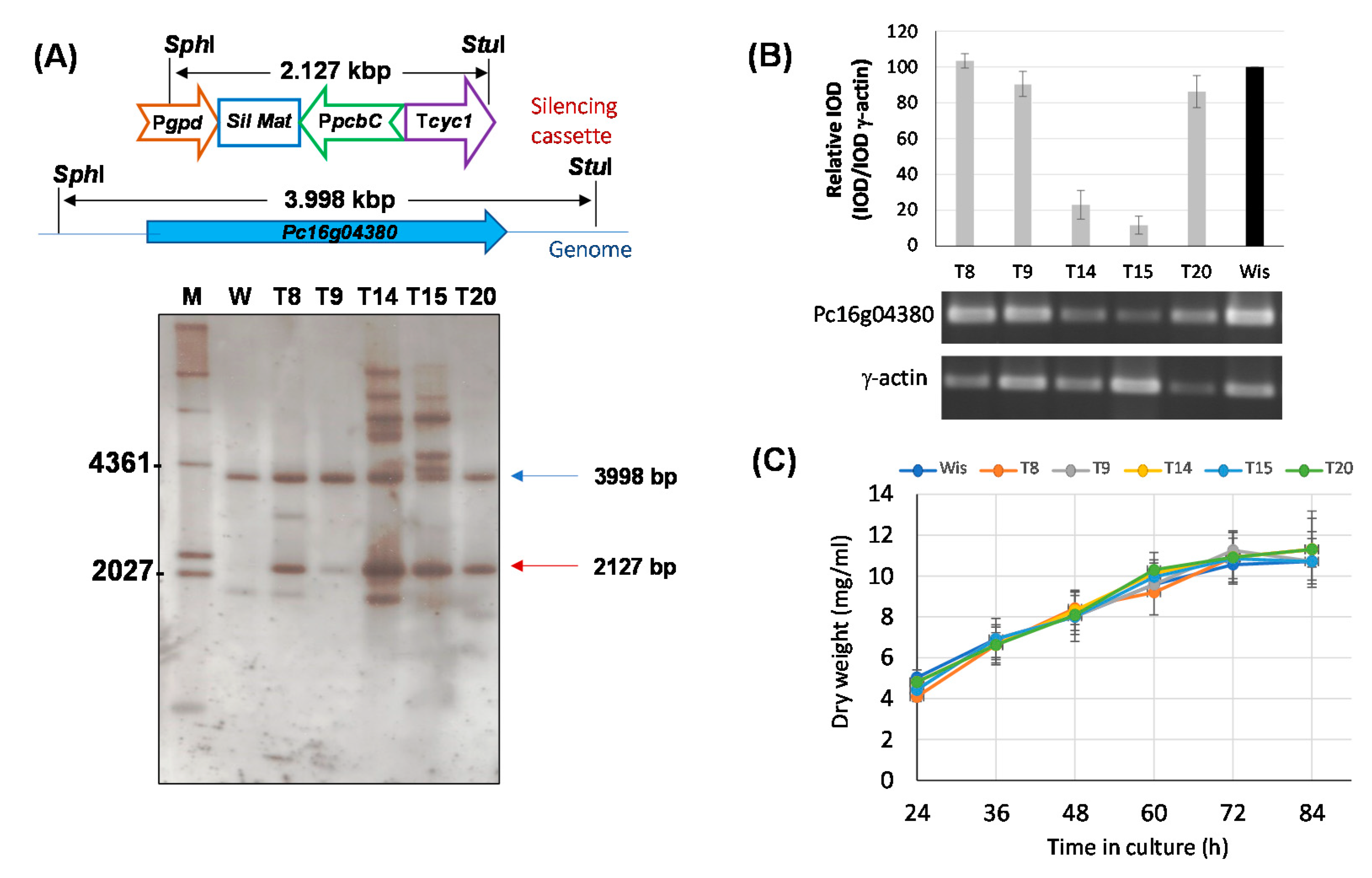 Microorganisms 10 00078 g003
