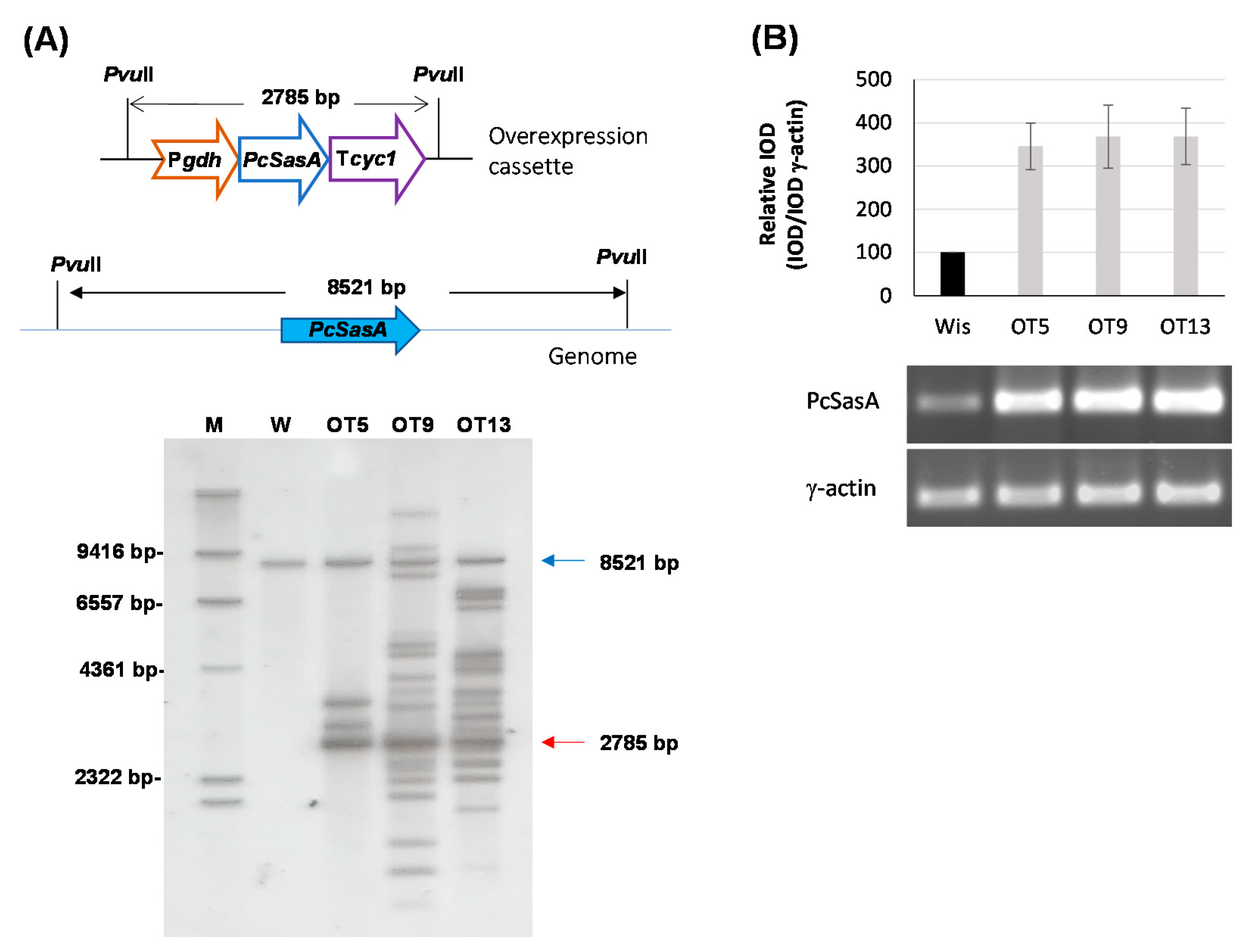 Microorganisms 10 00078 g006