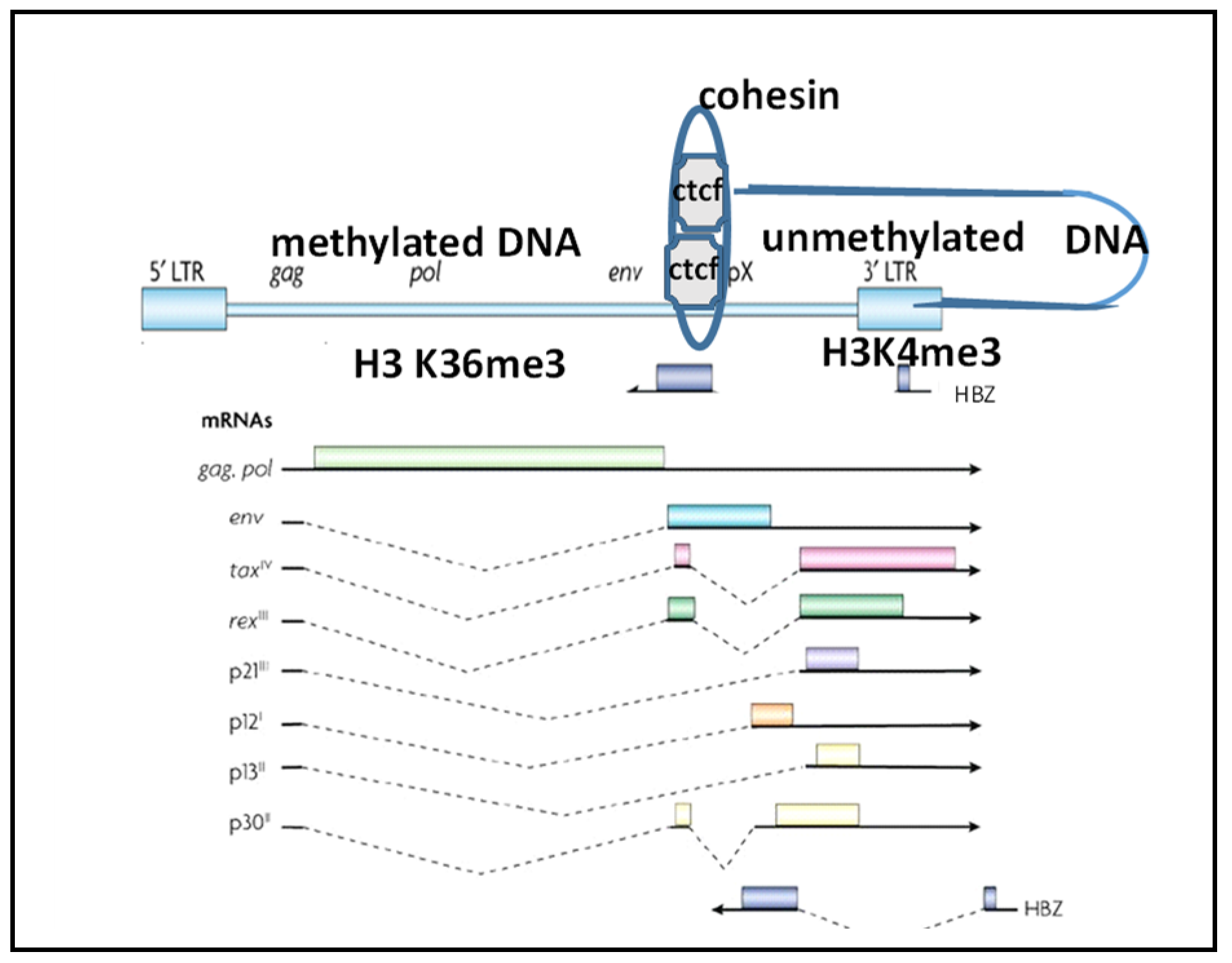 Microorganisms 10 00084 g001