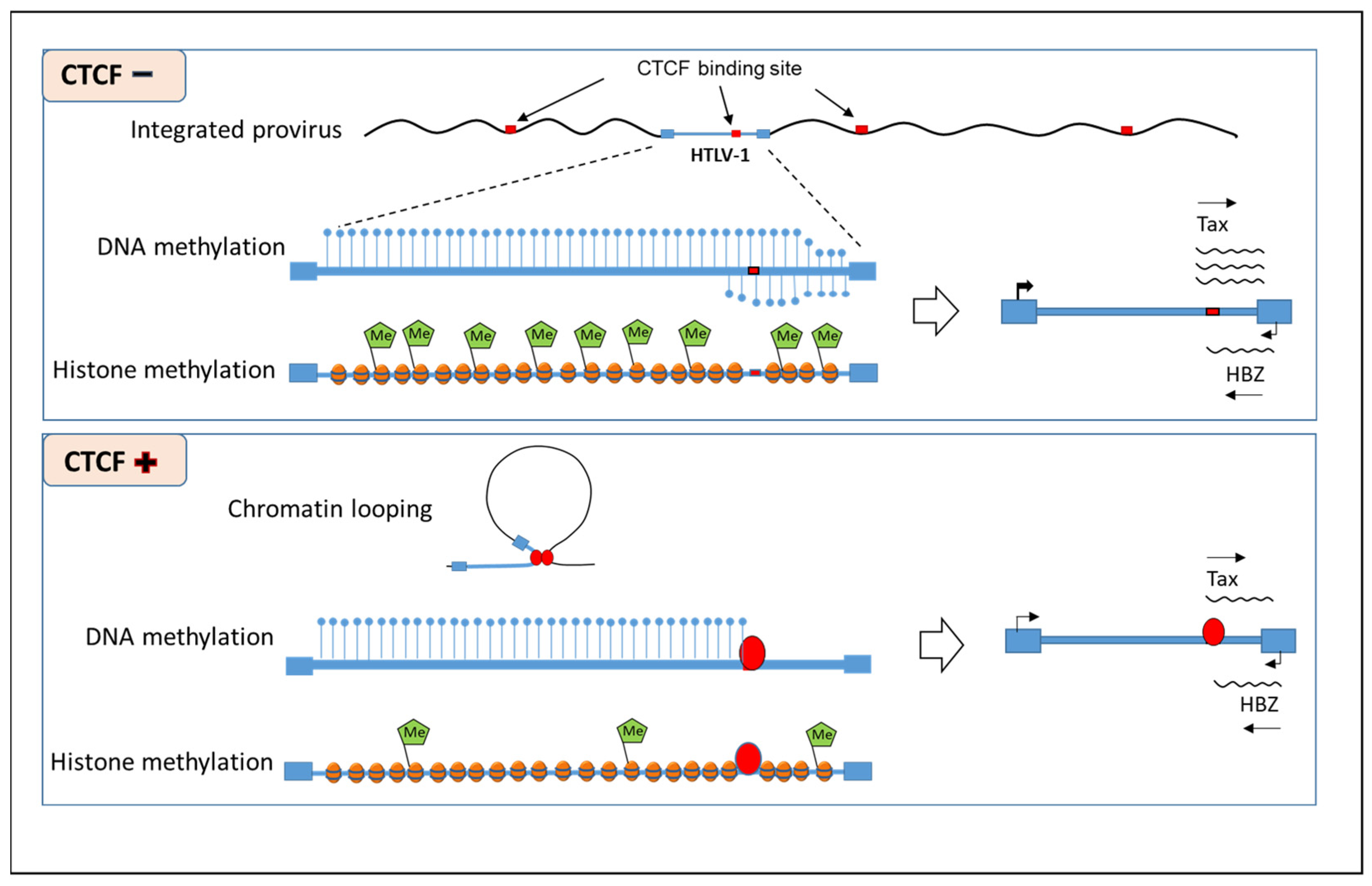 Microorganisms 10 00084 g002