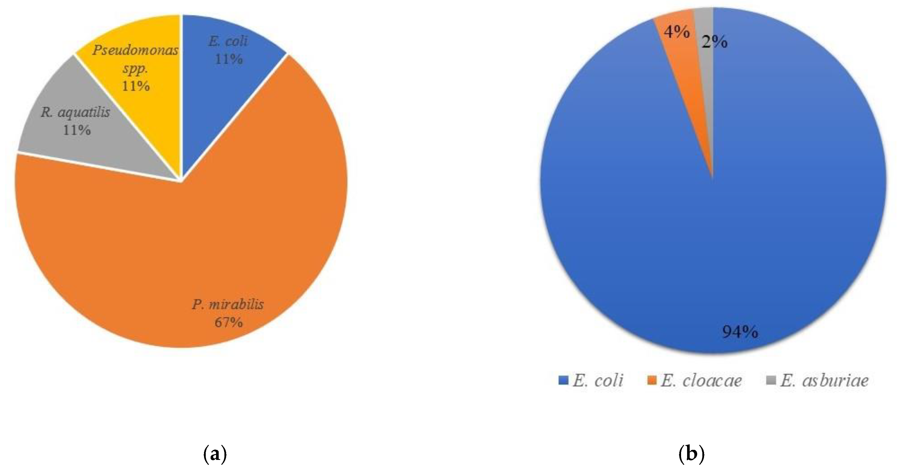 Microorganisms 10 00090 g003