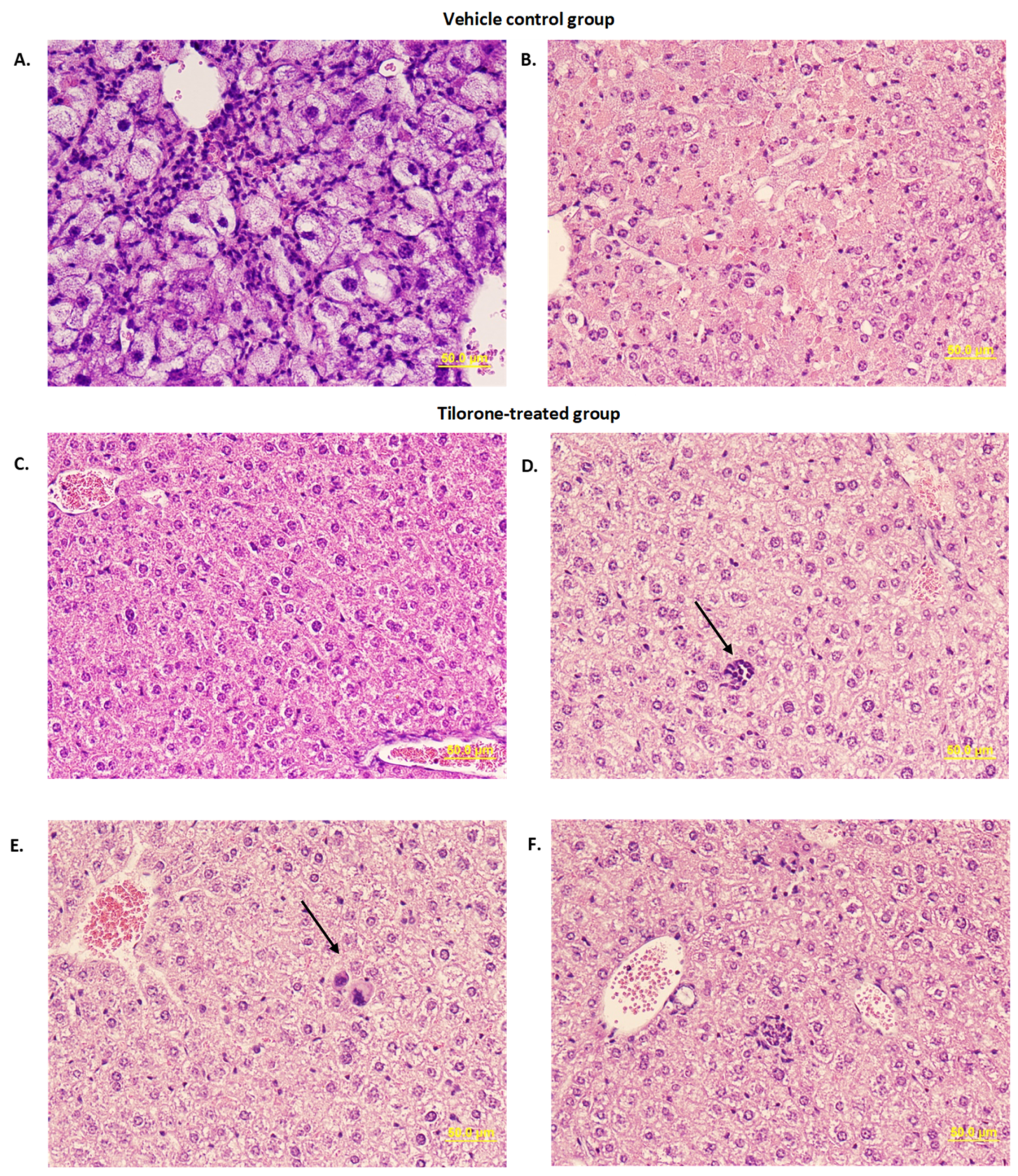 Microorganisms 10 00092 g005