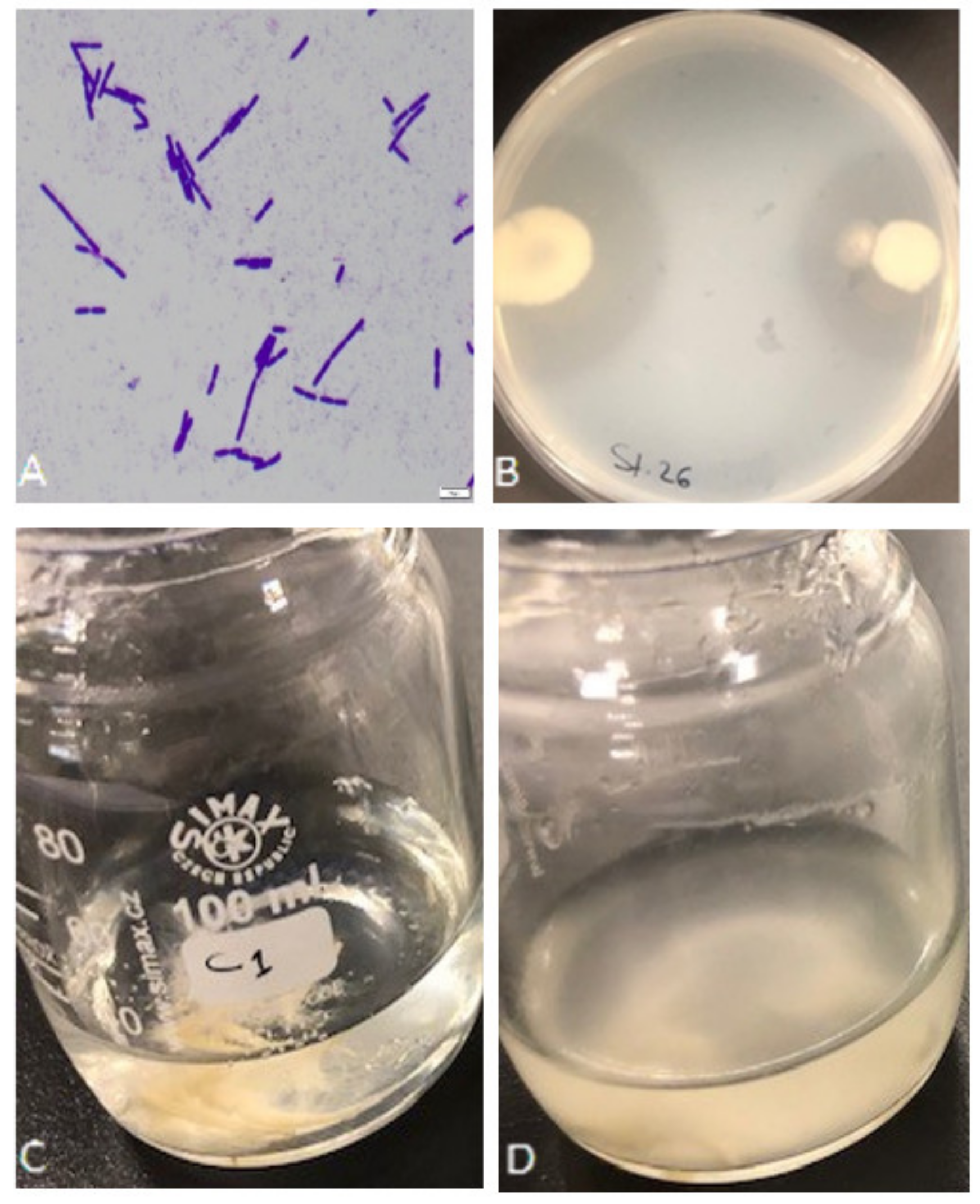 Microorganisms 10 00093 g001 Microorganisms 10 00093 g001