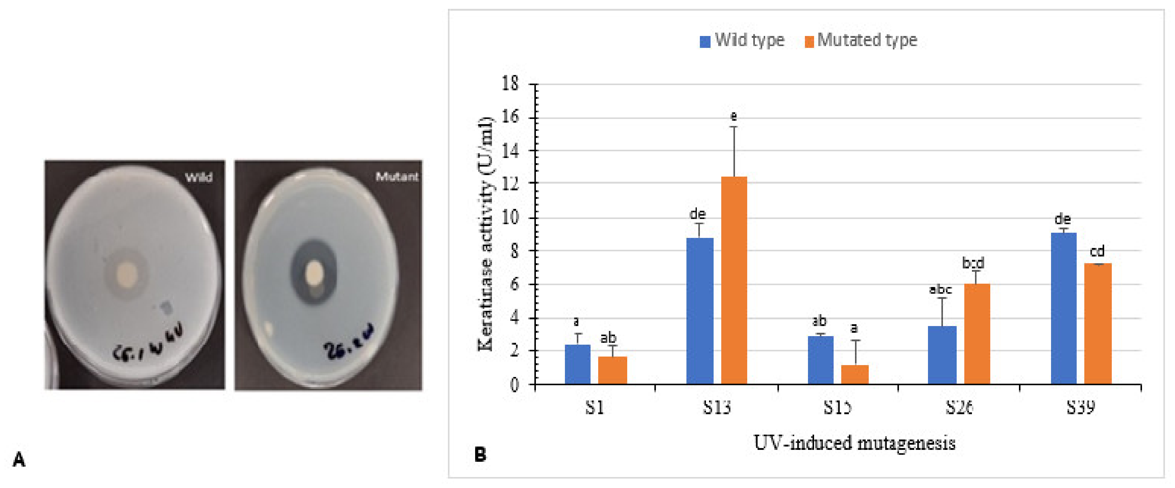 Microorganisms 10 00093 g004 Microorganisms 10 00093 g004