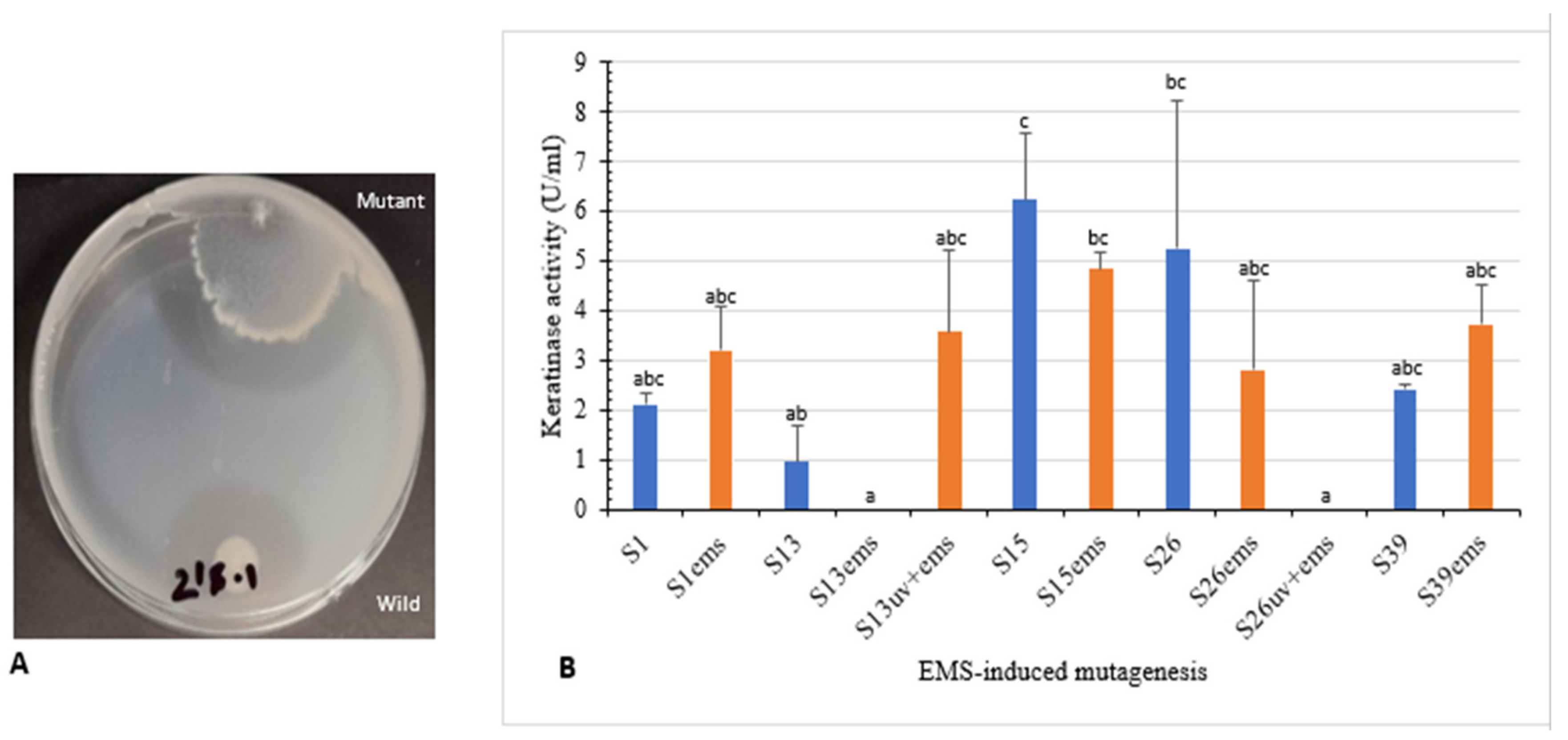 Microorganisms 10 00093 g005 Microorganisms 10 00093 g005