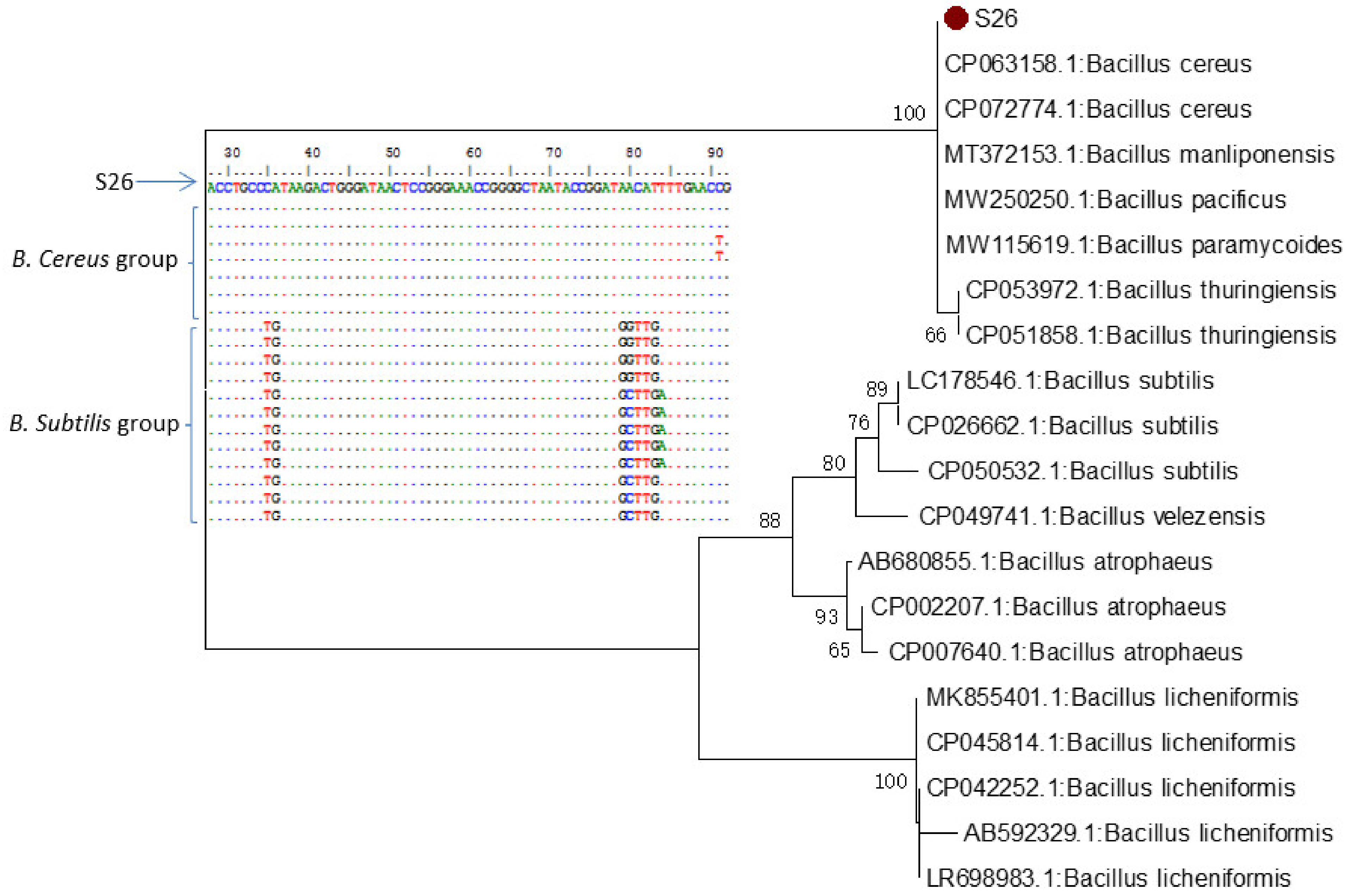Microorganisms 10 00093 g007 Microorganisms 10 00093 g007