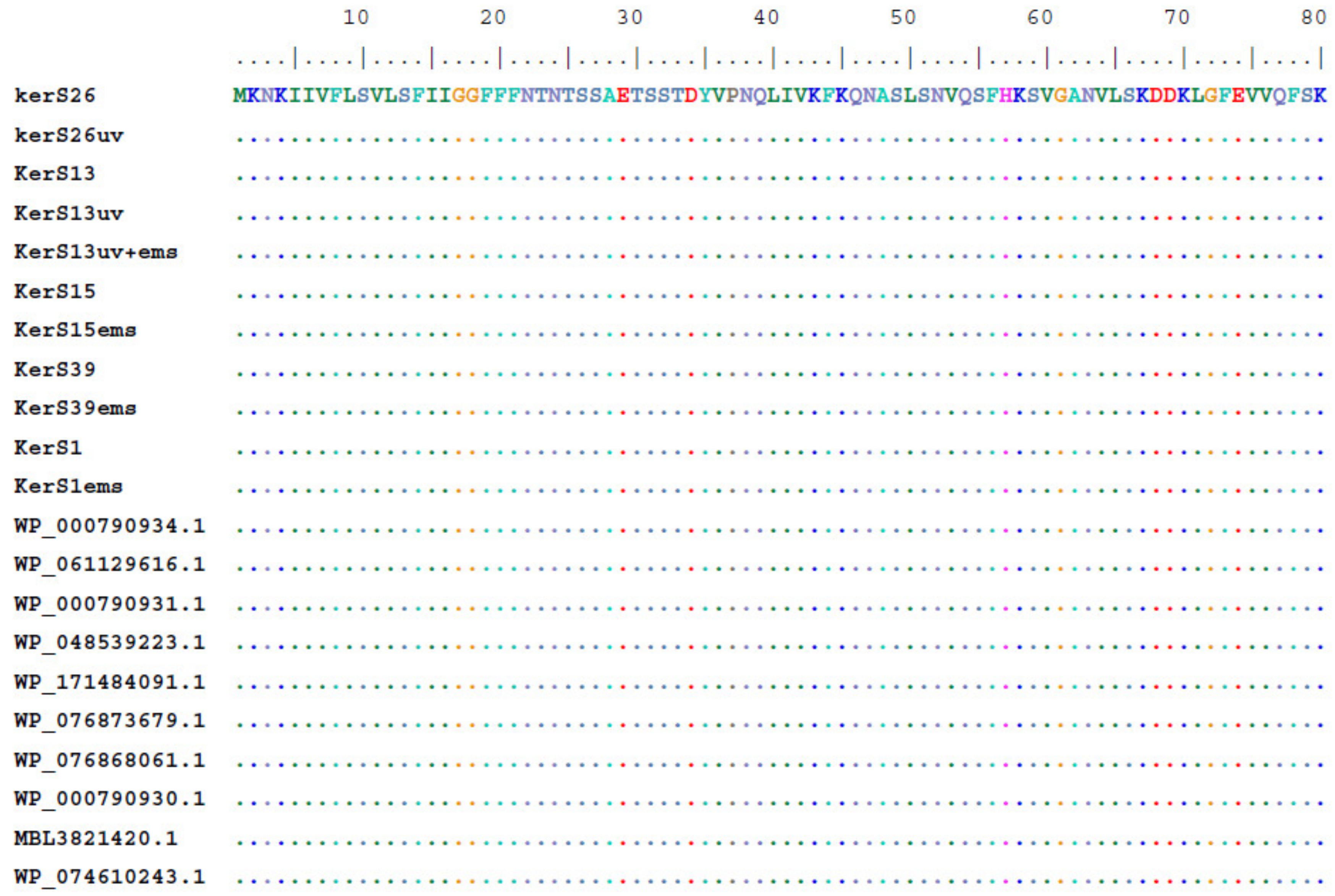 Microorganisms 10 00093 g008a Microorganisms 10 00093 g008a