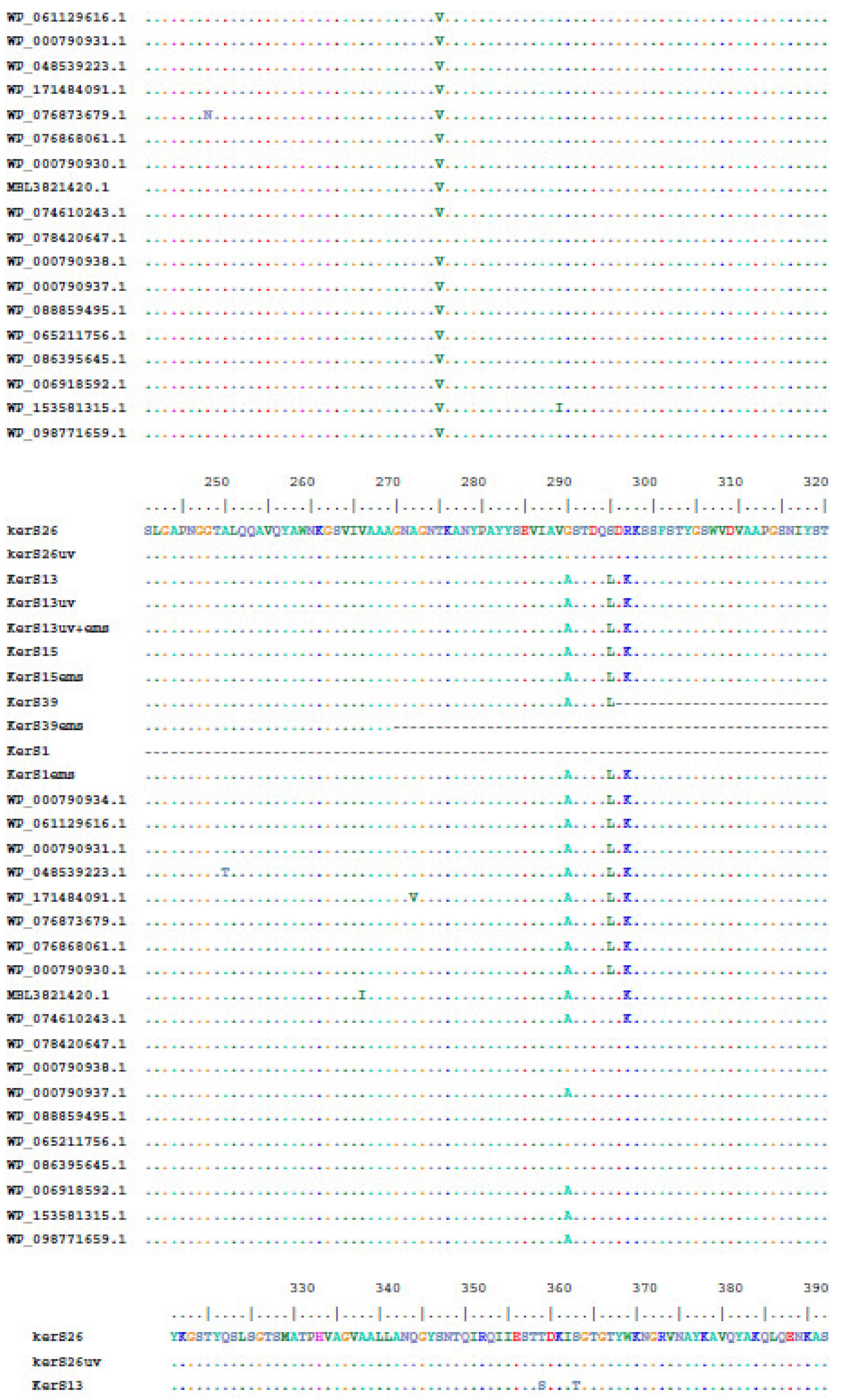 Microorganisms 10 00093 g008c Microorganisms 10 00093 g008c