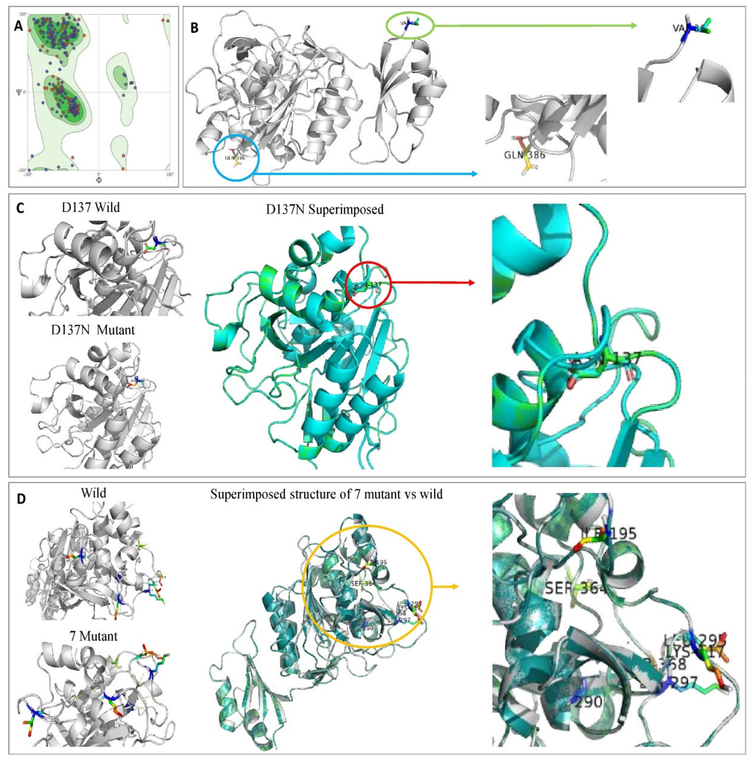 Microorganisms 10 00093 g012 Microorganisms 10 00093 g012