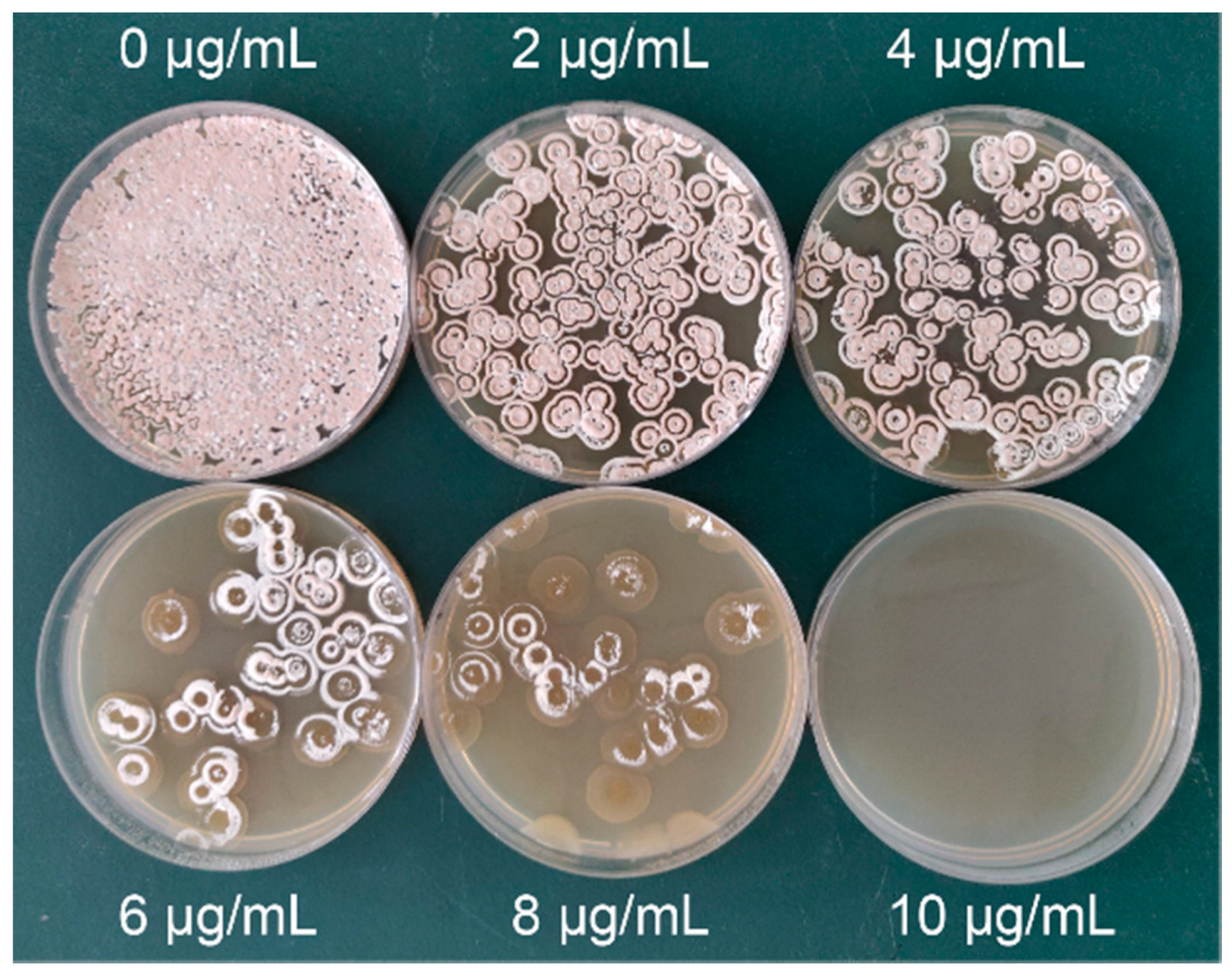 Microorganisms 10 00094 g003