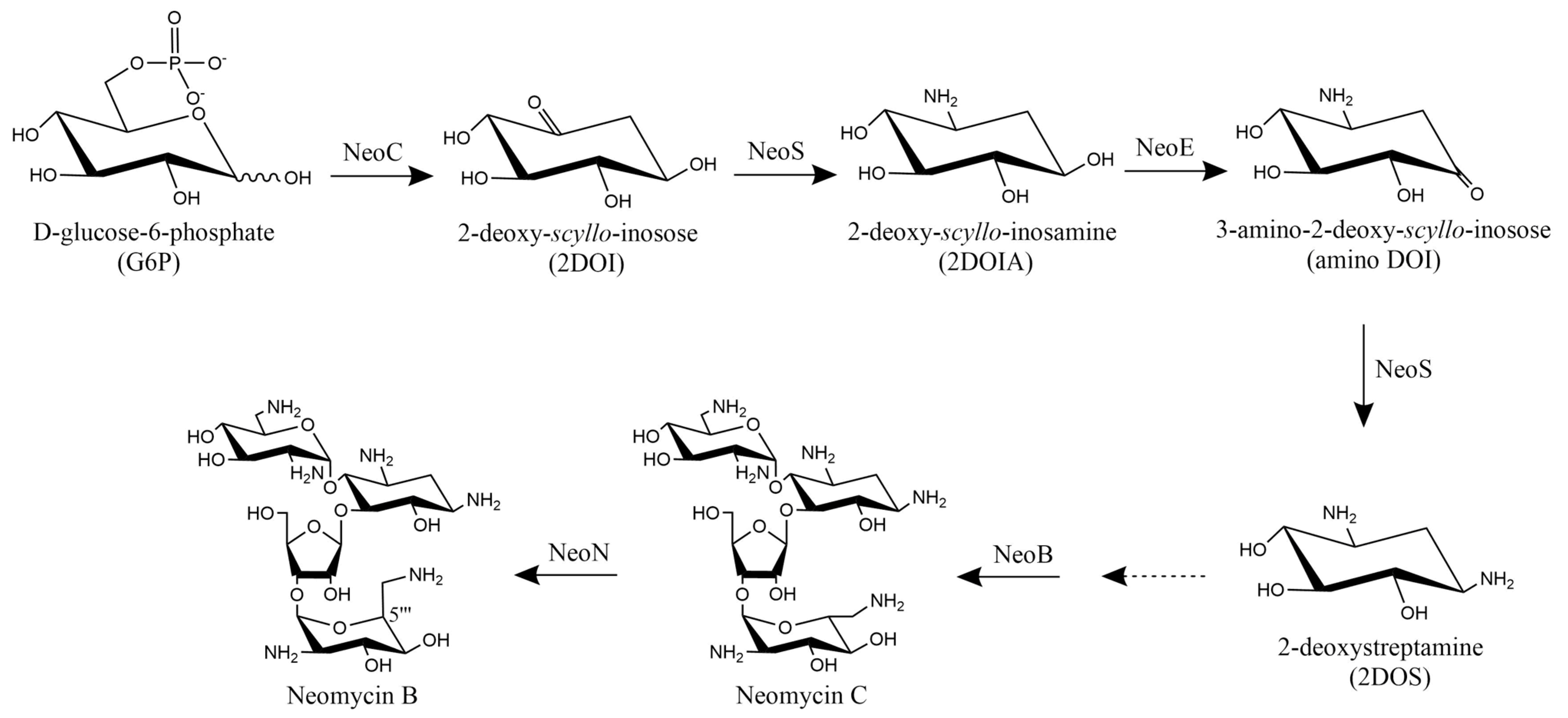 Microorganisms 10 00094 g007
