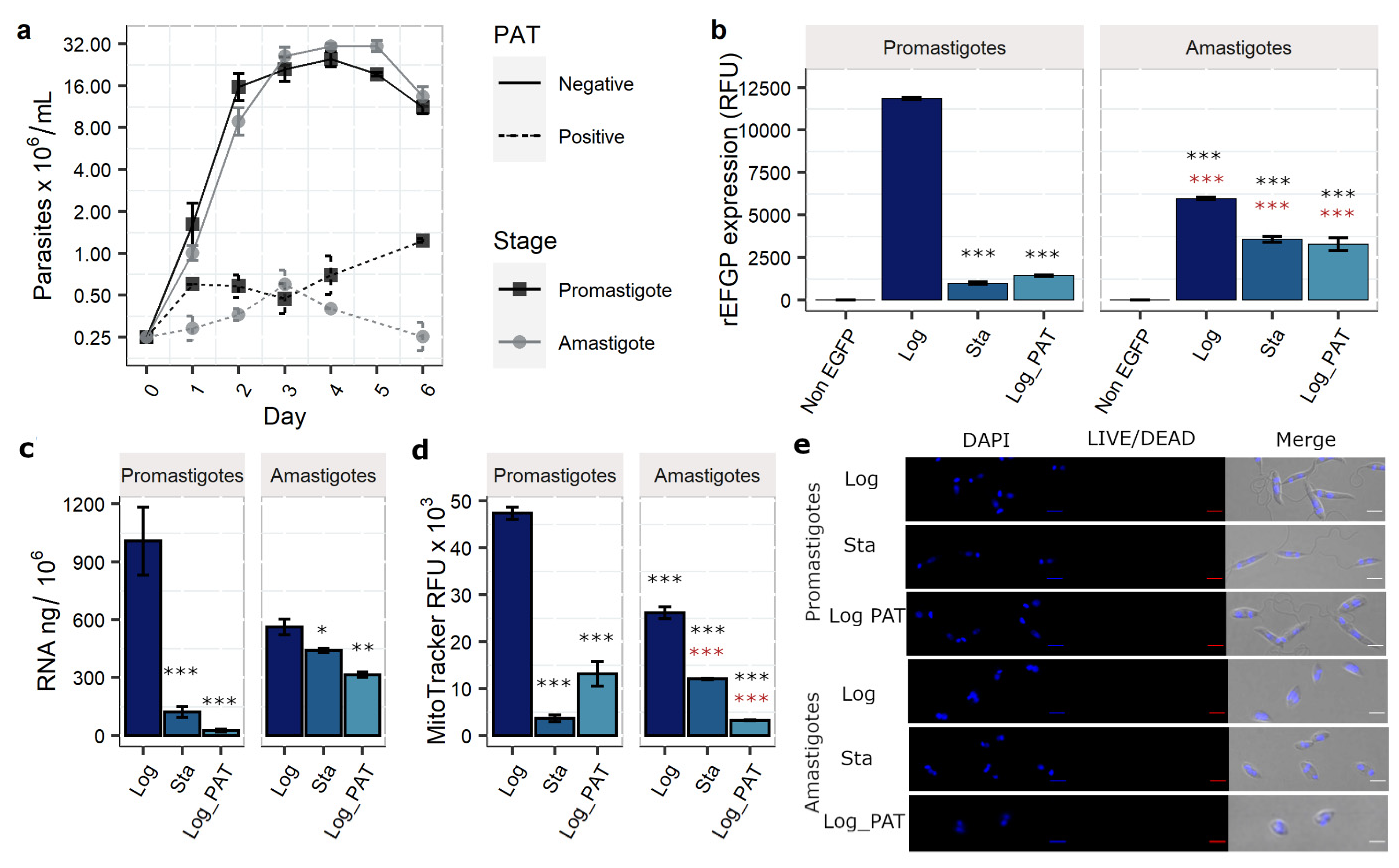 Microorganisms 10 00097 g001