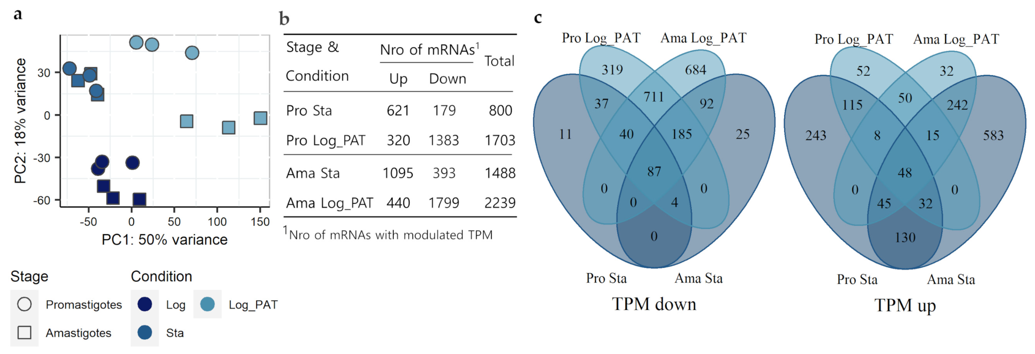 Microorganisms 10 00097 g003