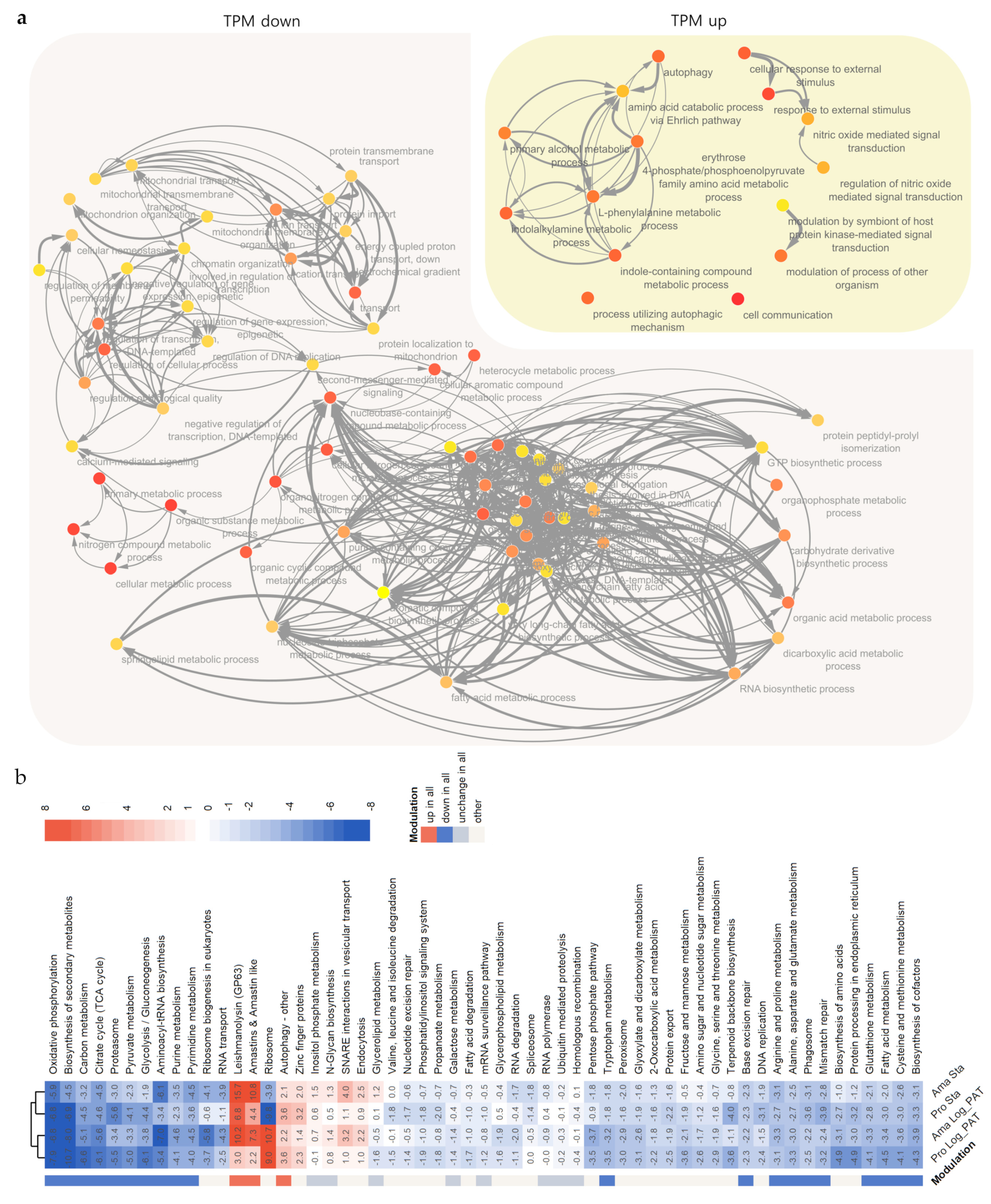 Microorganisms 10 00097 g004