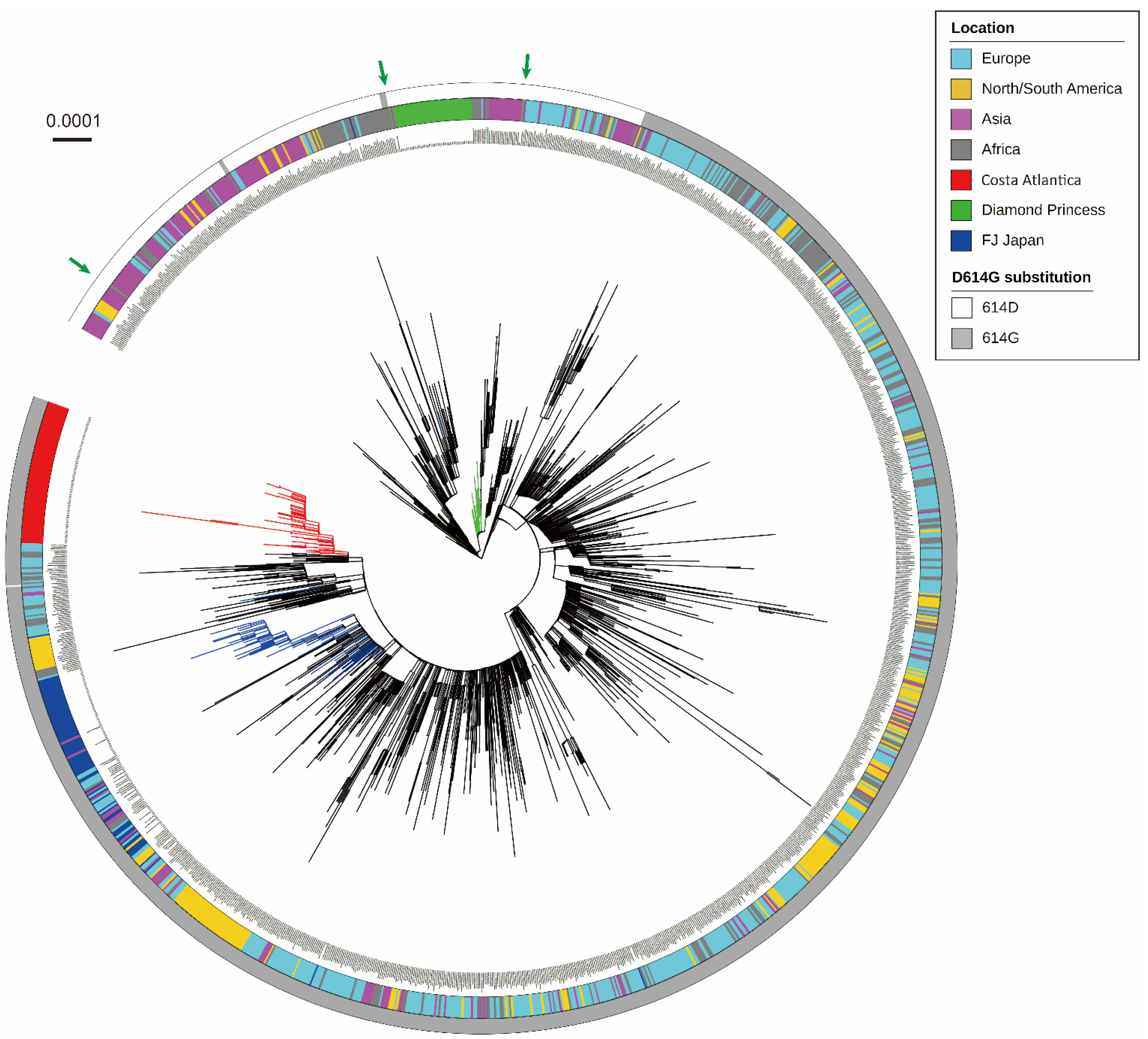 Microorganisms 10 00099 g001
