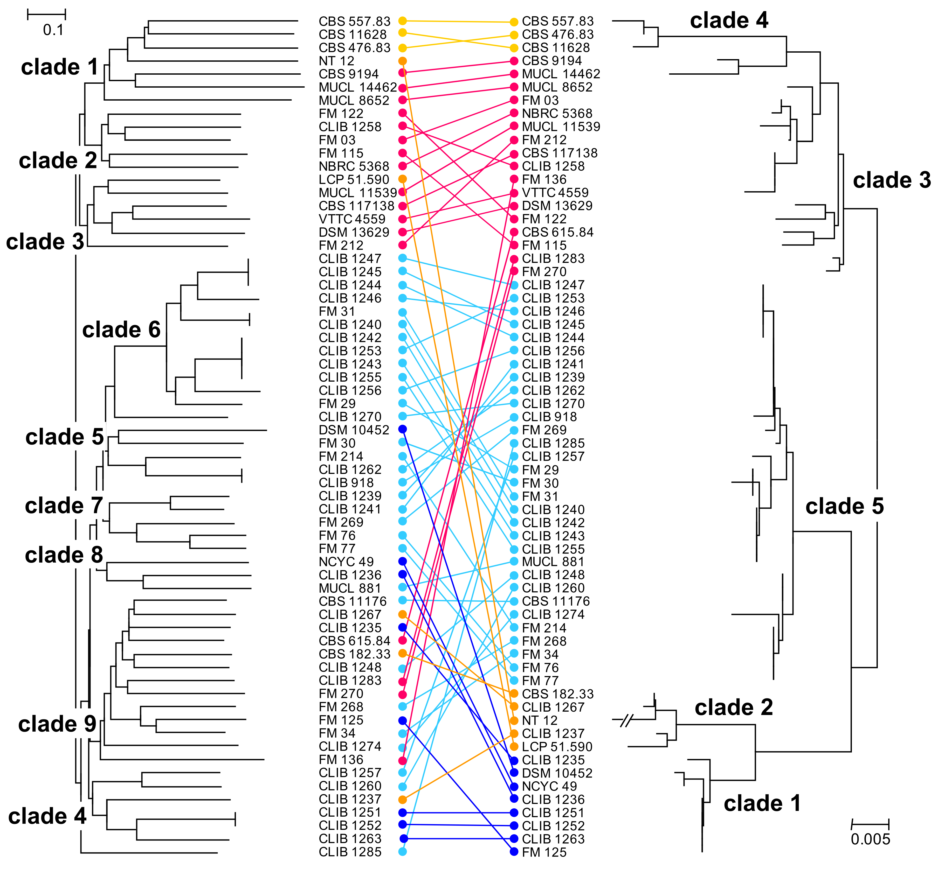 Microorganisms 10 00103 g002