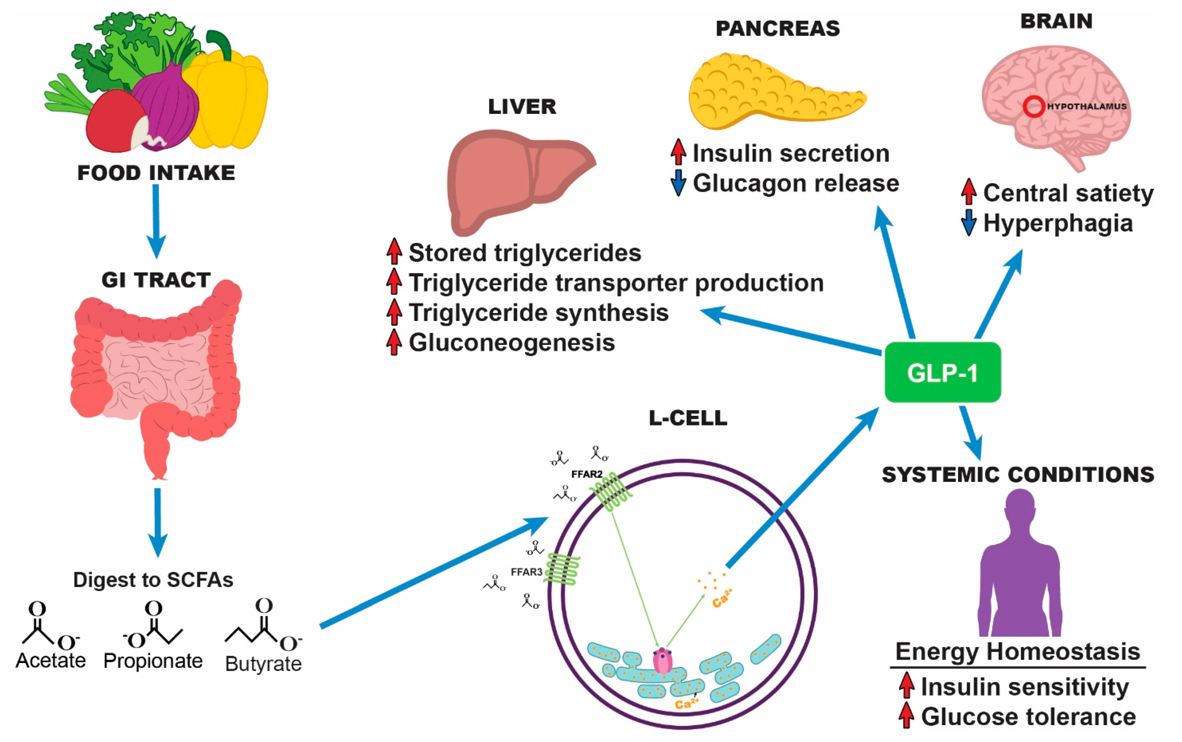 Microorganisms 10 00108 g002
