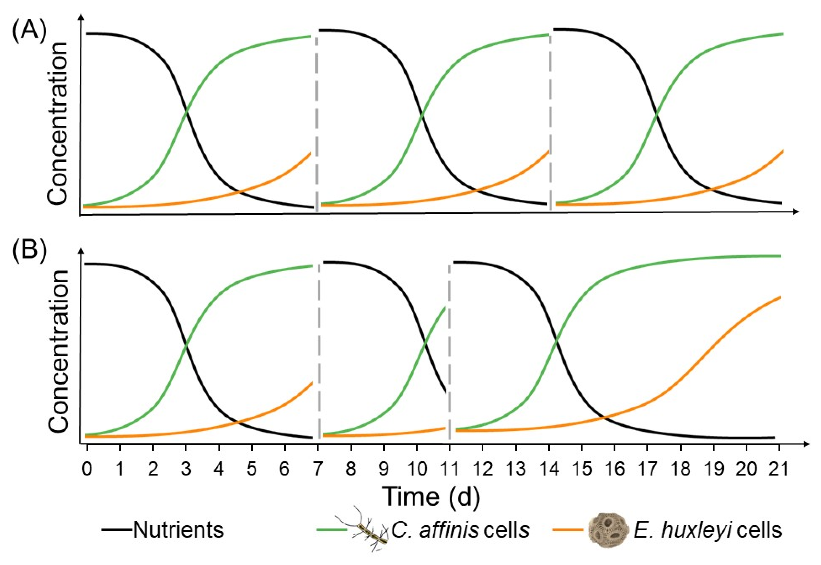Microorganisms 10 00113 g001