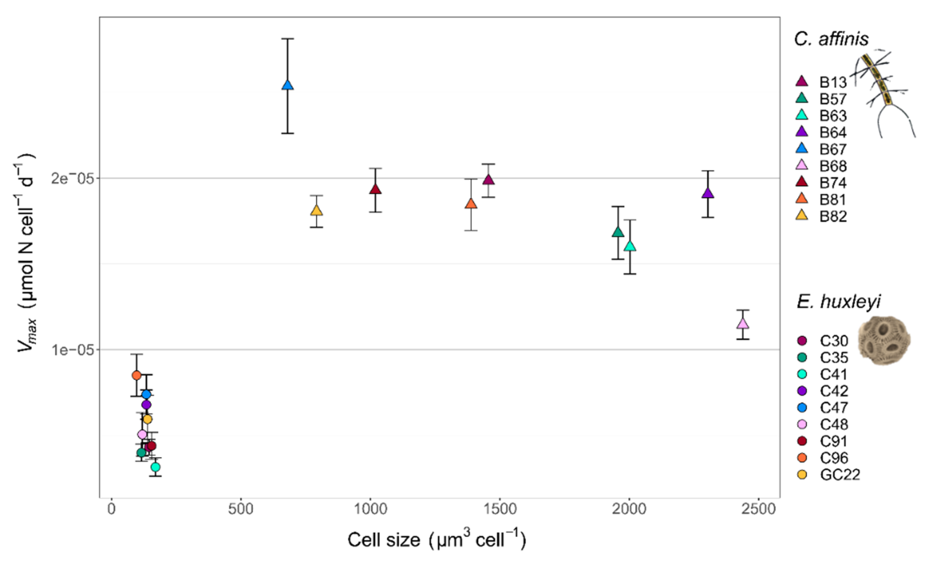 Microorganisms 10 00113 g002